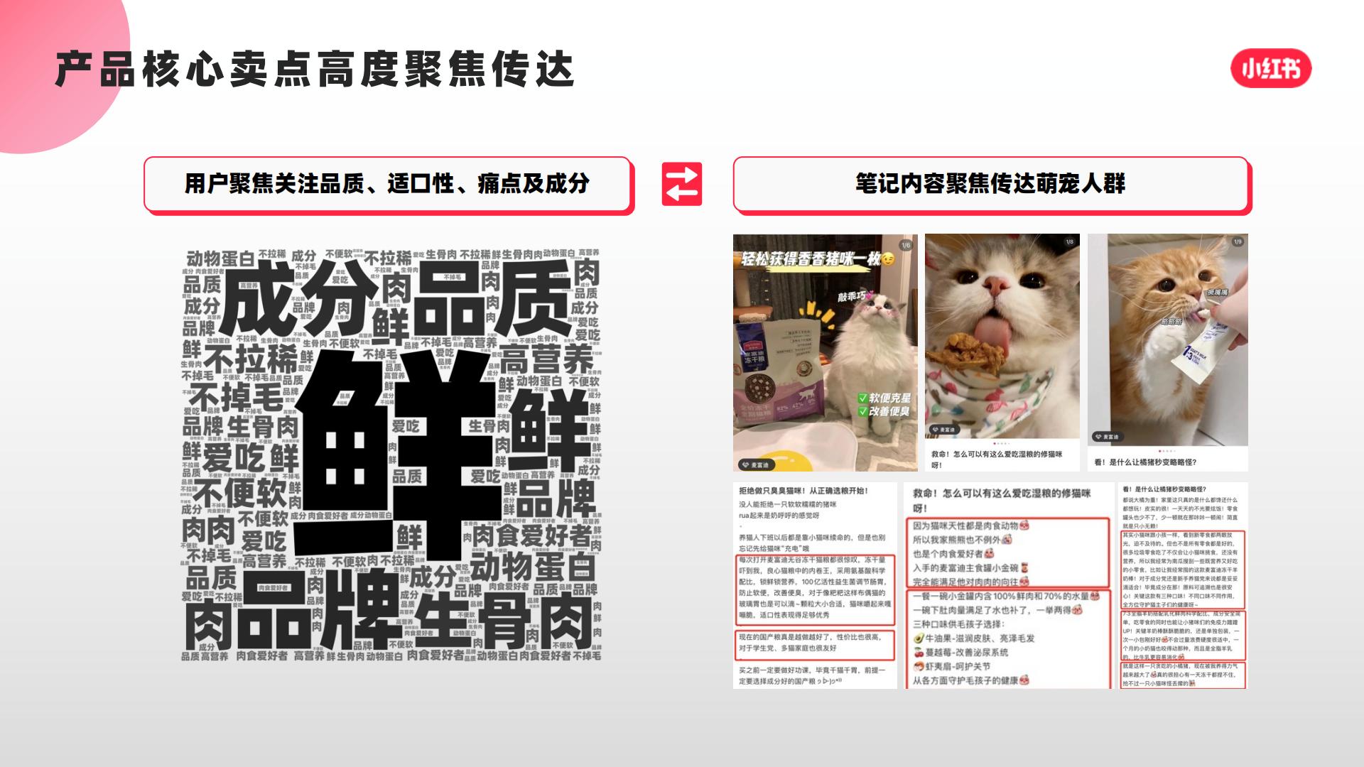 猫粮品牌小红书口碑营销复盘结案【宠物】【种草营销】.pdf