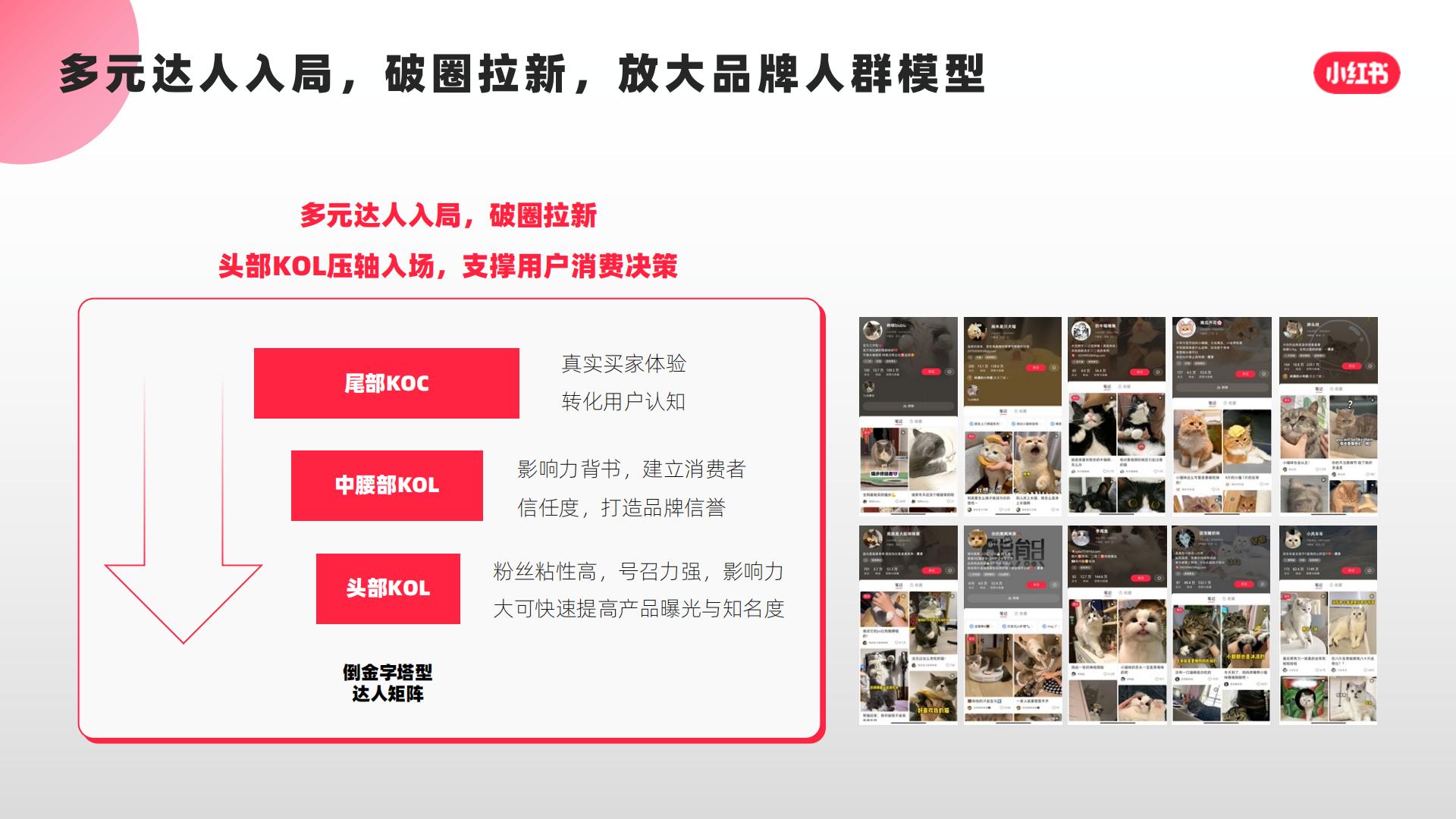 猫粮品牌小红书口碑营销复盘结案【宠物】【种草营销】.pdf
