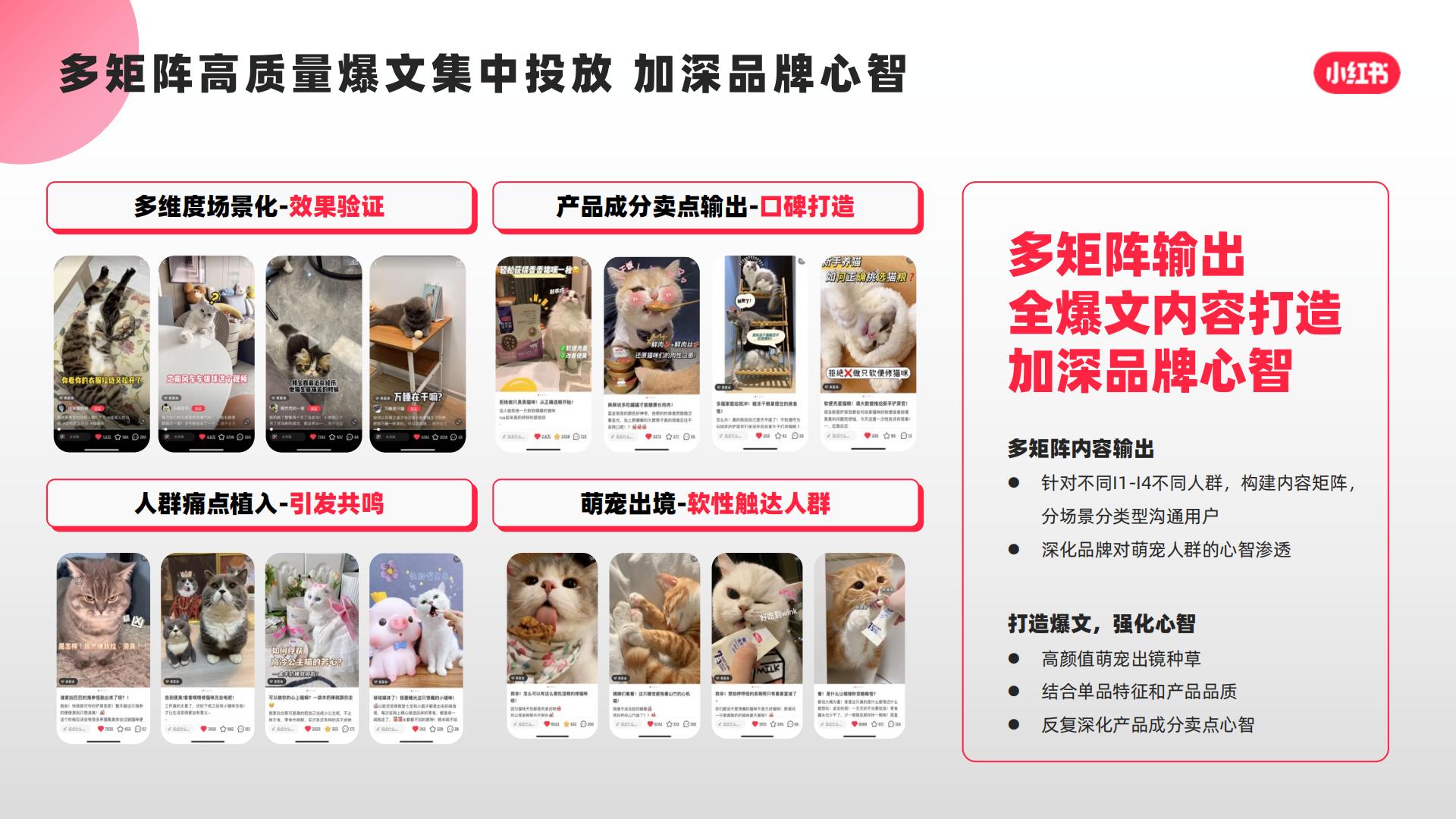 猫粮品牌小红书口碑营销复盘结案【宠物】【种草营销】.pdf