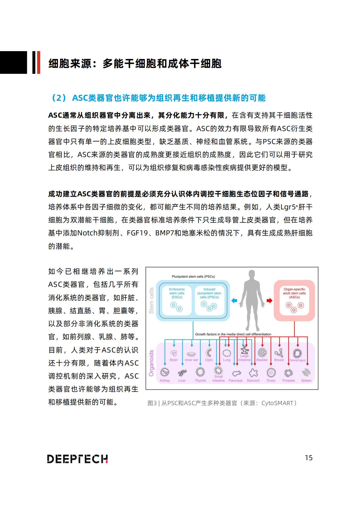 2023类器官技术与行业研究报告-40页.pdf