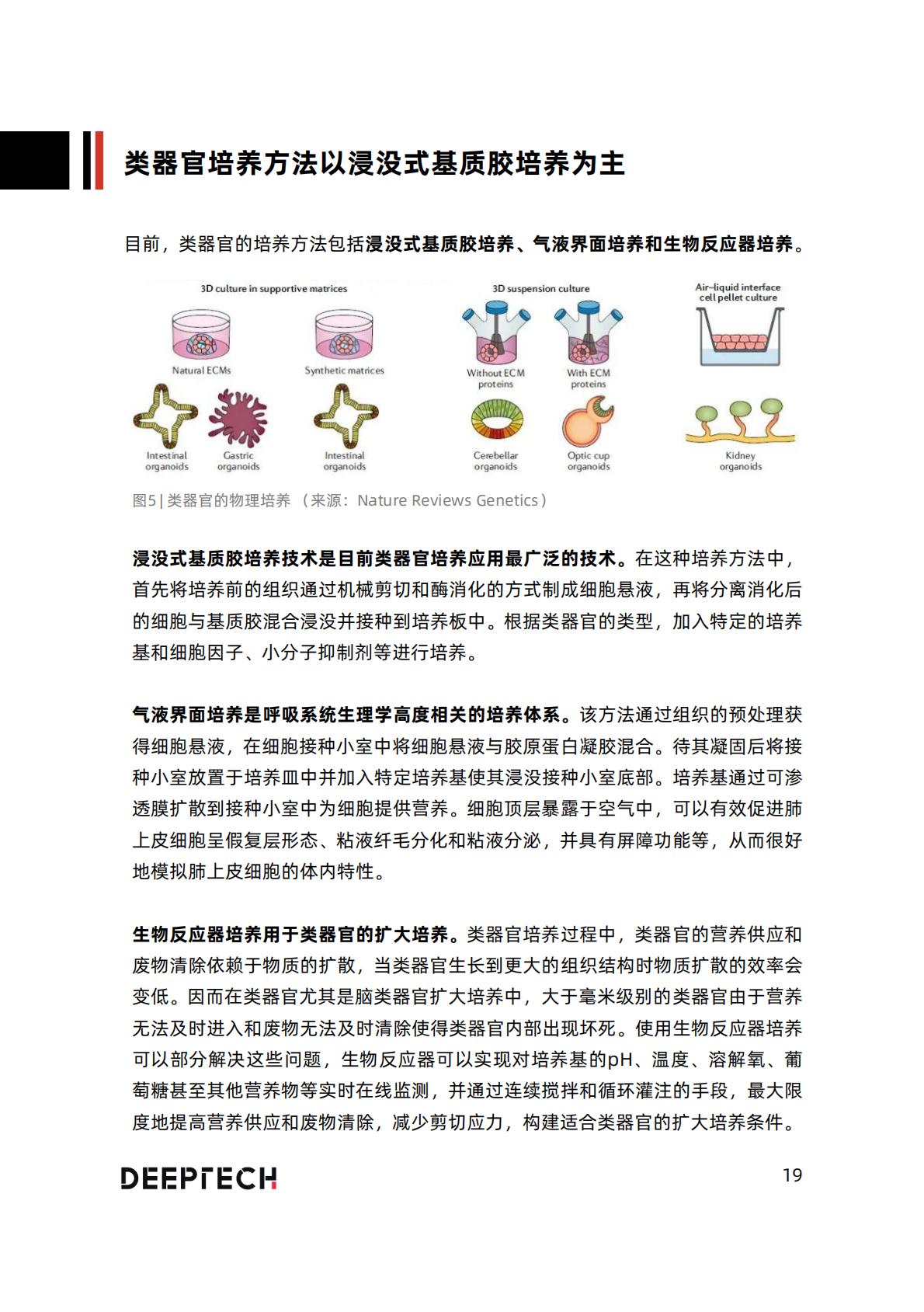 2023类器官技术与行业研究报告-40页.pdf