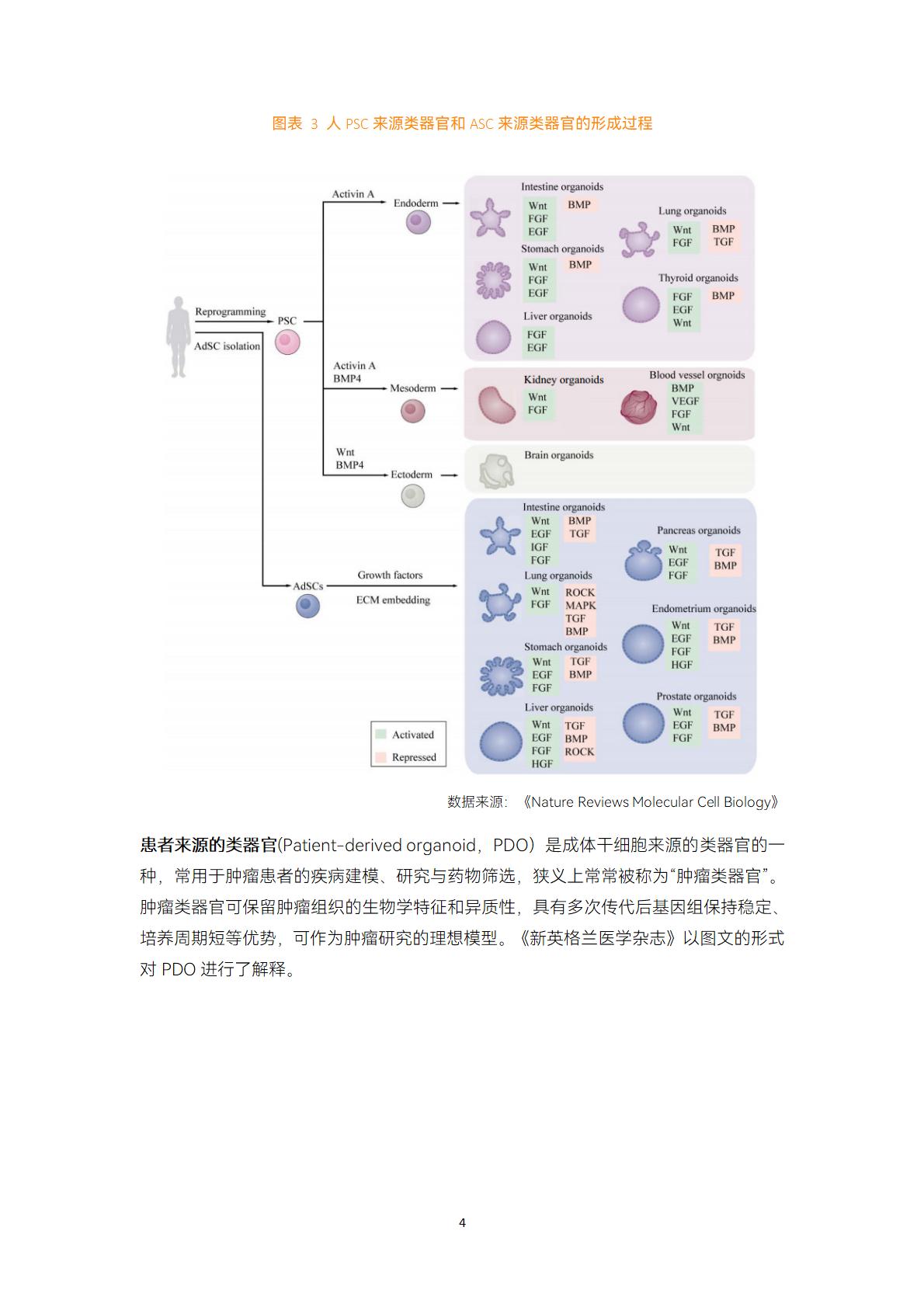 2023类器官与器官芯片行业白皮书-蛋壳研究院.pdf