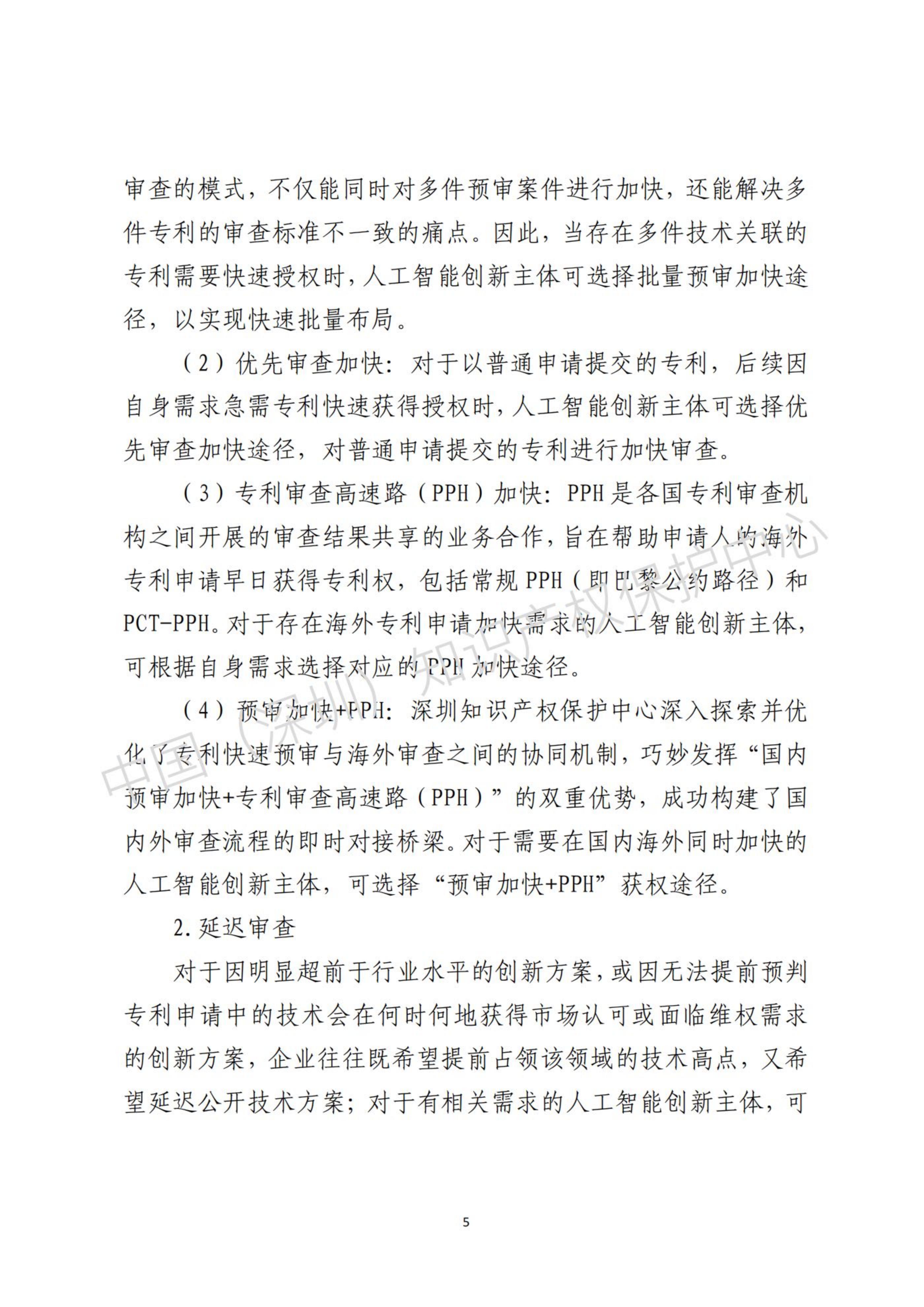 人工智能(AI)领域专利布局与申请指引.pdf