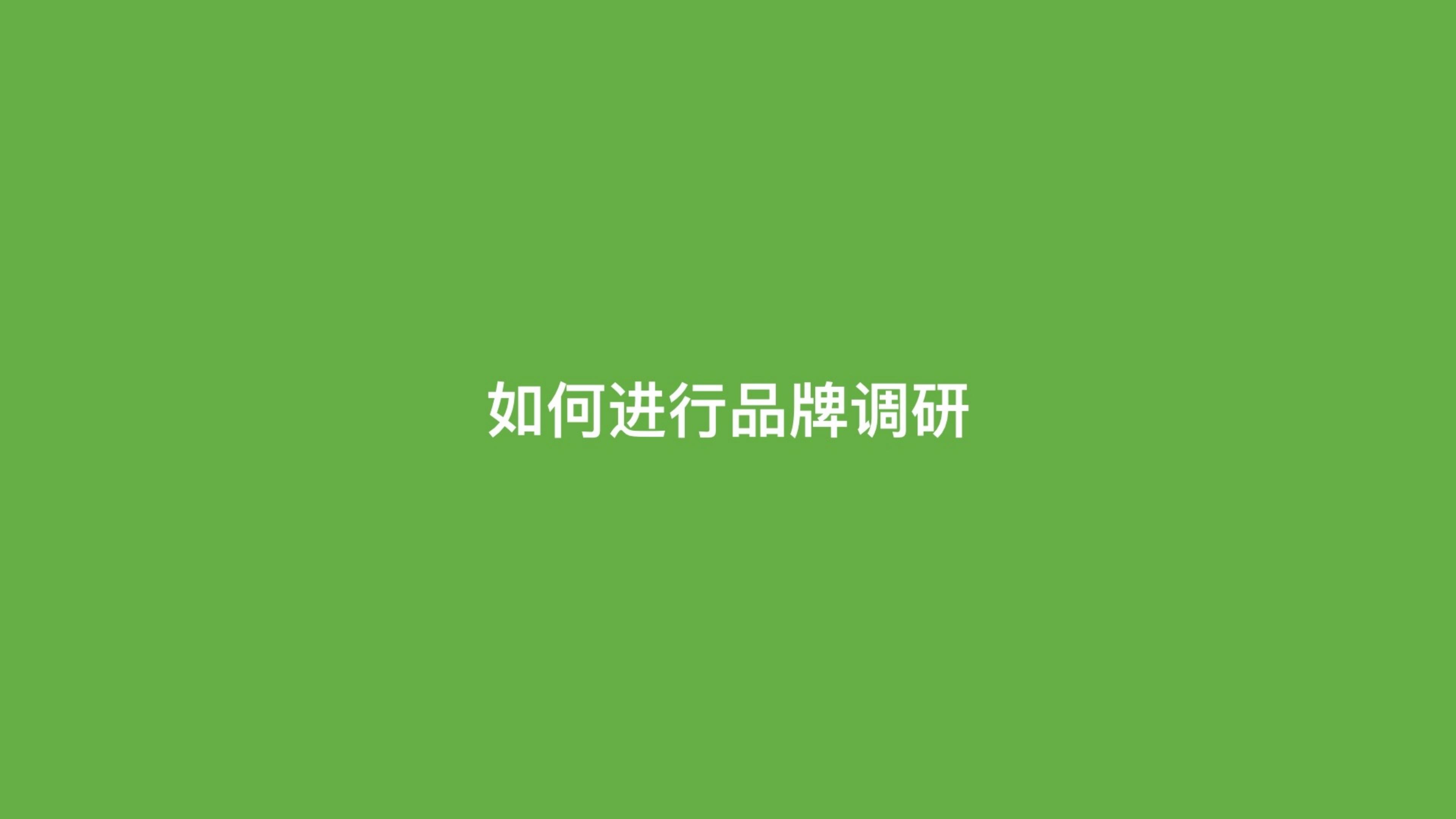 2024品牌调研策略通案.pdf