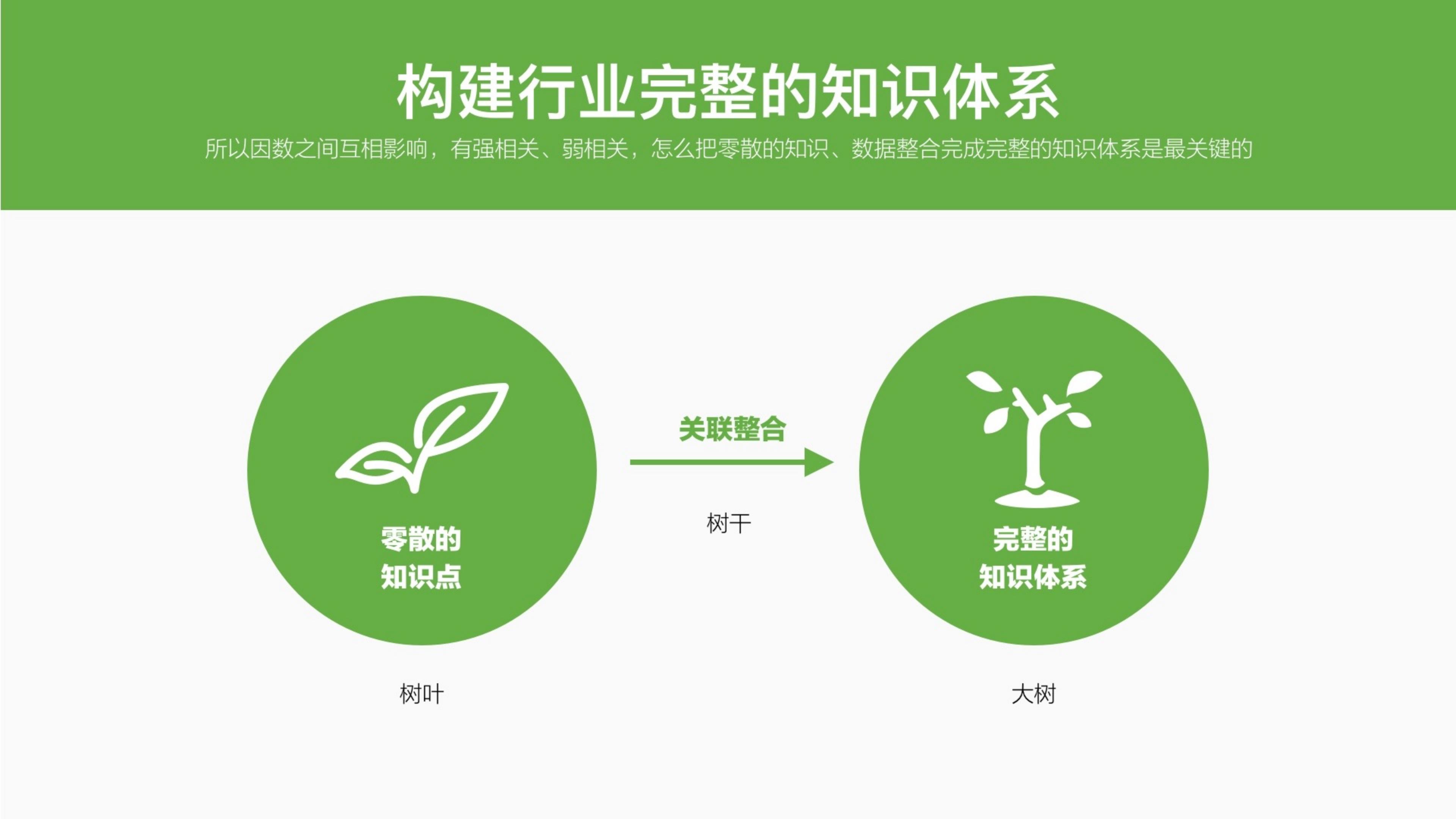 2024品牌调研策略通案.pdf