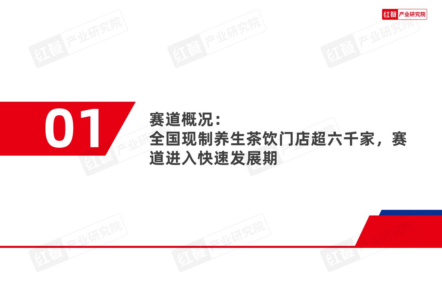 2024现制养生茶饮发展报告.pdf
