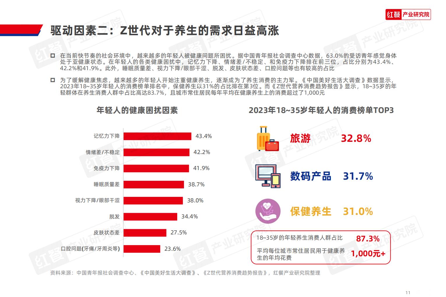 2024现制养生茶饮发展报告.pdf