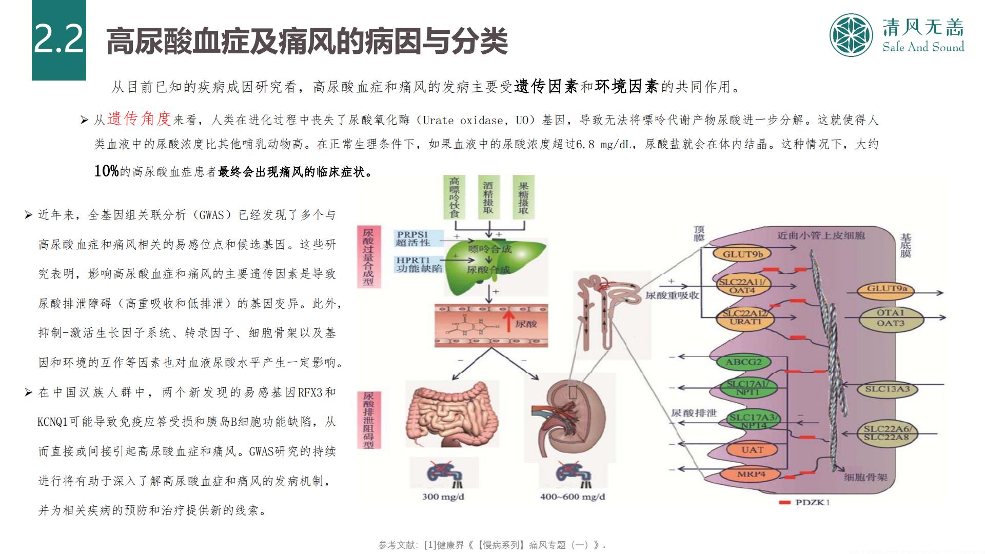 2024中国高尿酸及痛风行业大数据及产业竞争分析.pdf