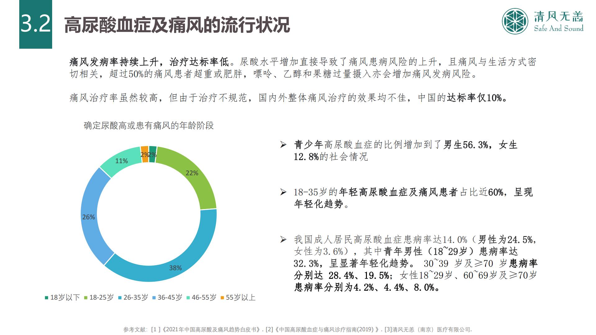 2024中国高尿酸及痛风行业大数据及产业竞争分析.pdf
