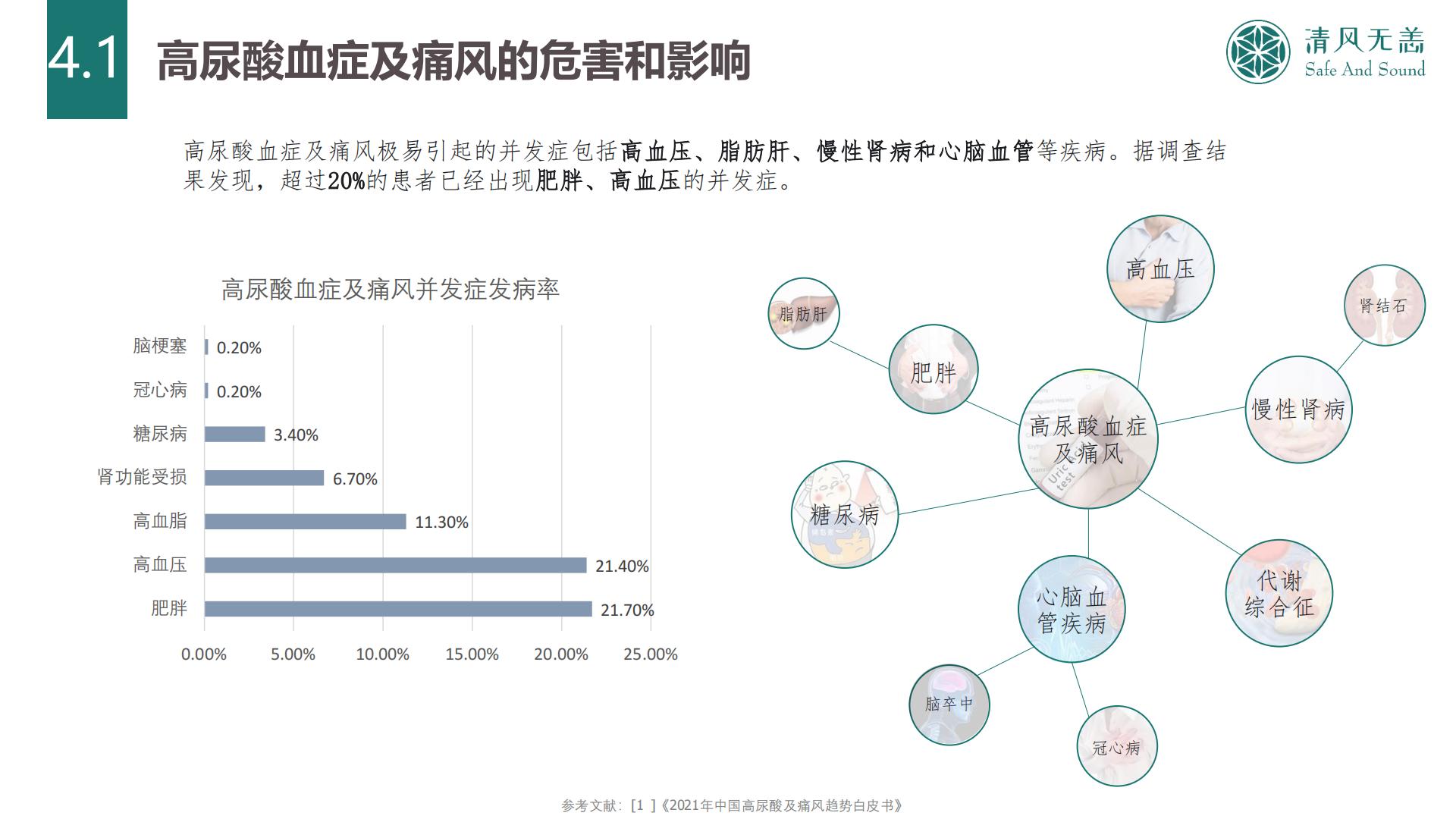 2024中国高尿酸及痛风行业大数据及产业竞争分析.pdf