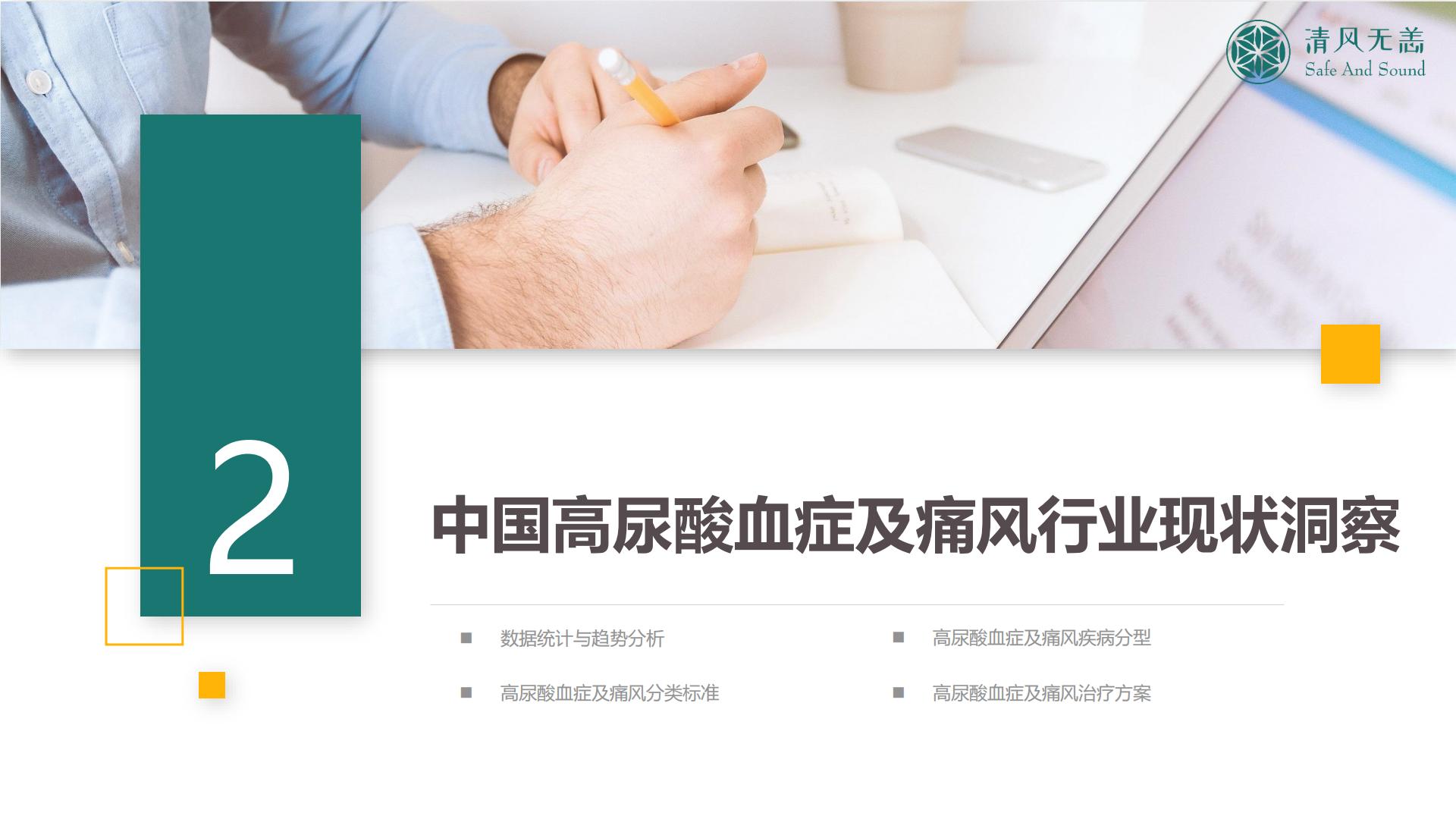 2024中国高尿酸及痛风行业大数据及产业竞争分析.pdf