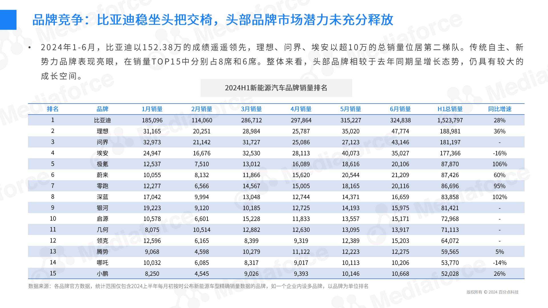 2024H1新能源汽车营销半年报.pdf