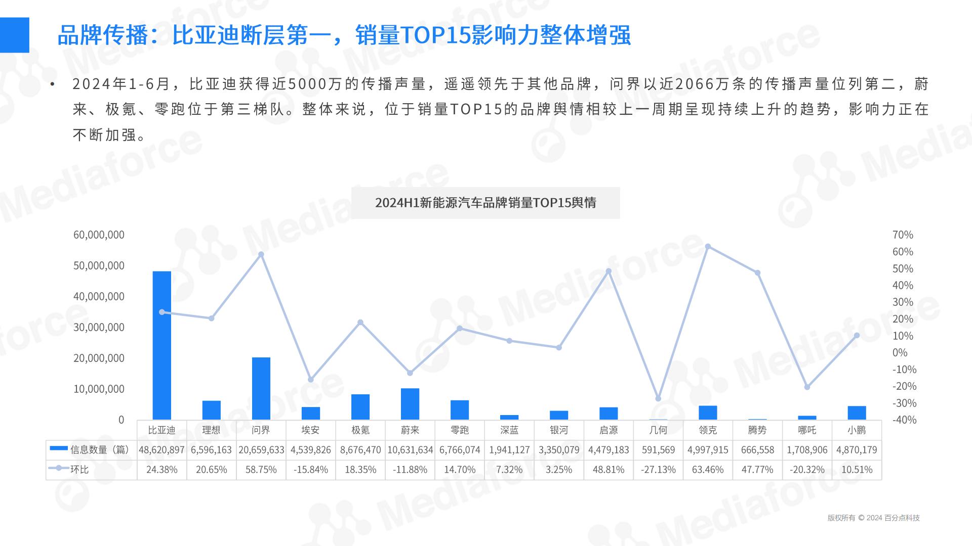 2024H1新能源汽车营销半年报.pdf