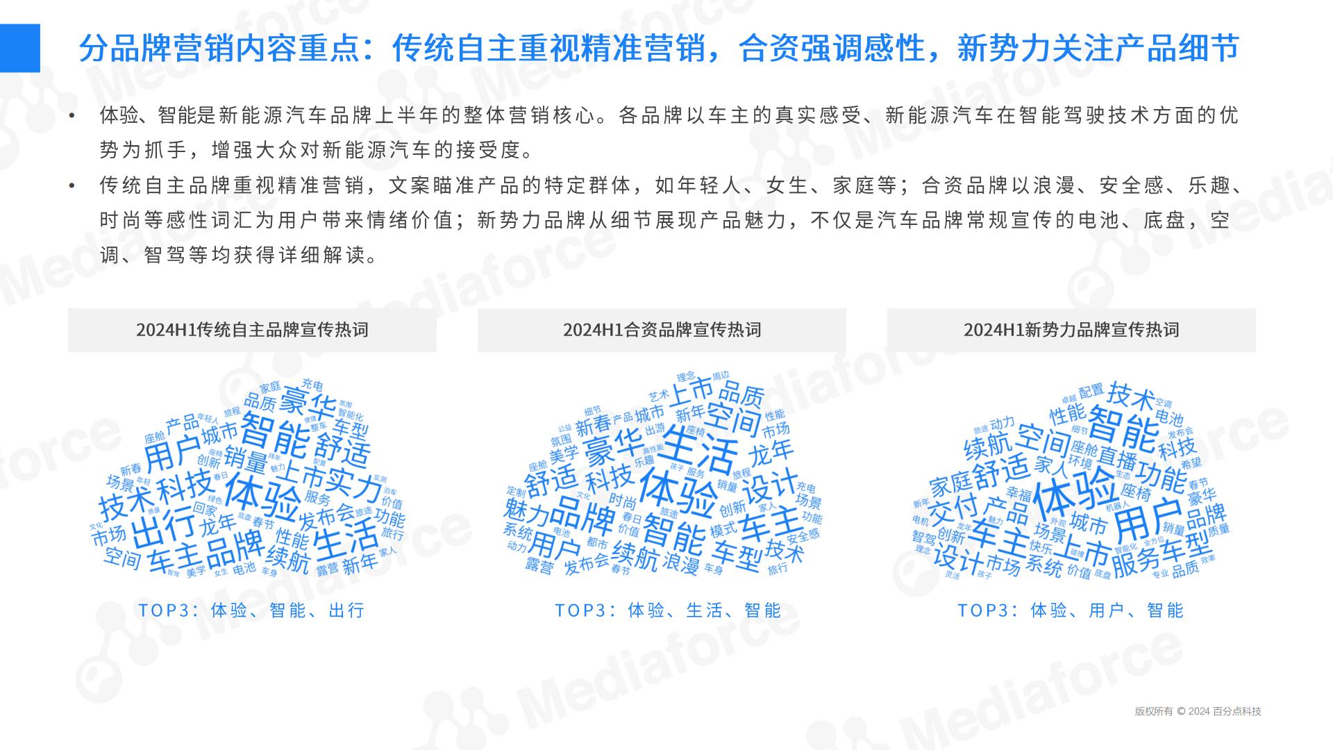 2024H1新能源汽车营销半年报.pdf