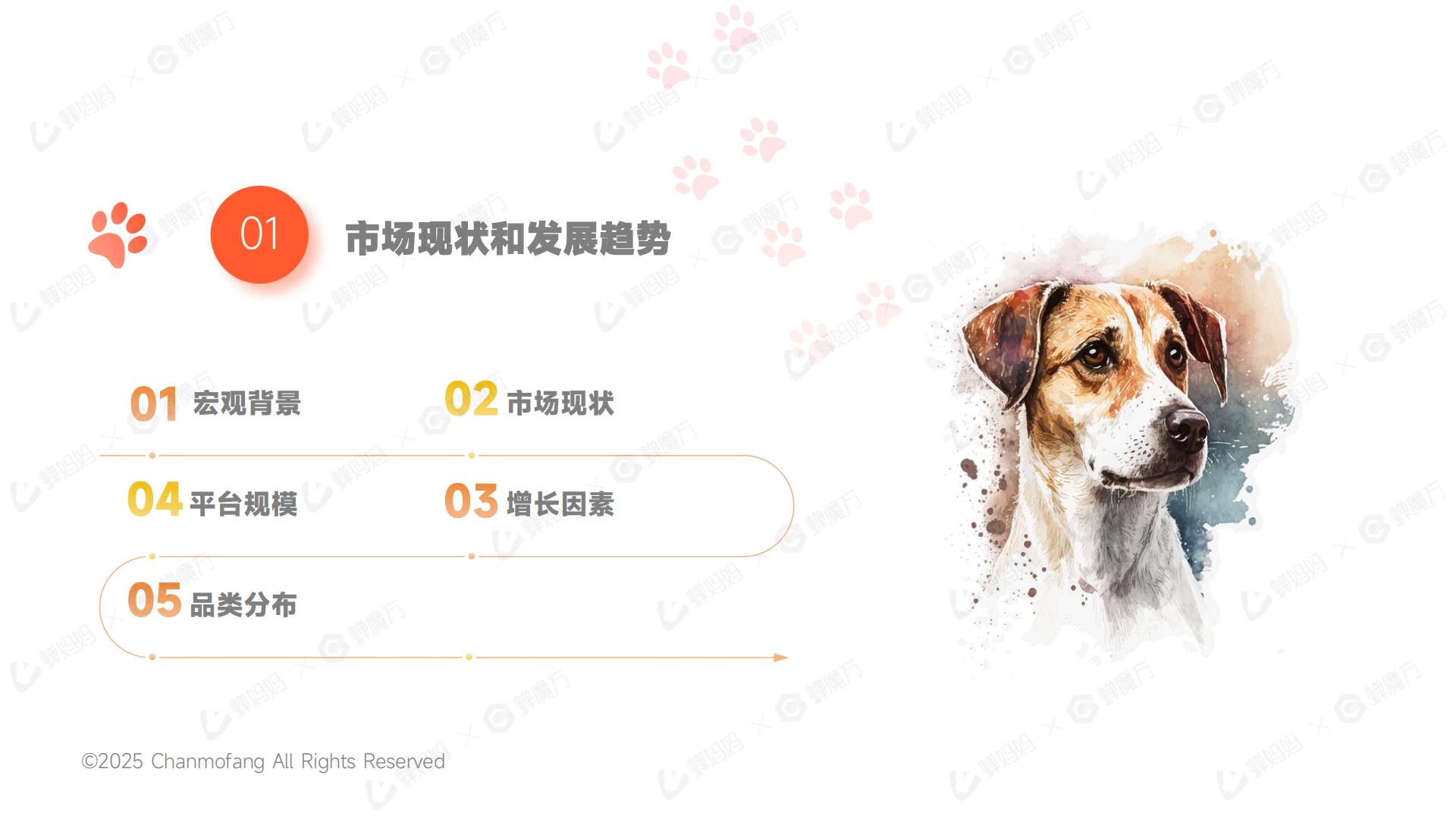 2025年宠物保健品抖音电商行业分析报告.pdf