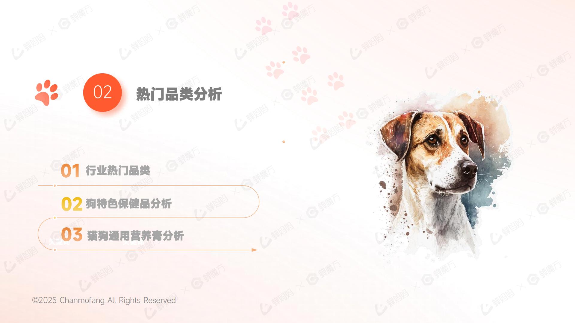 2025年宠物保健品抖音电商行业分析报告.pdf