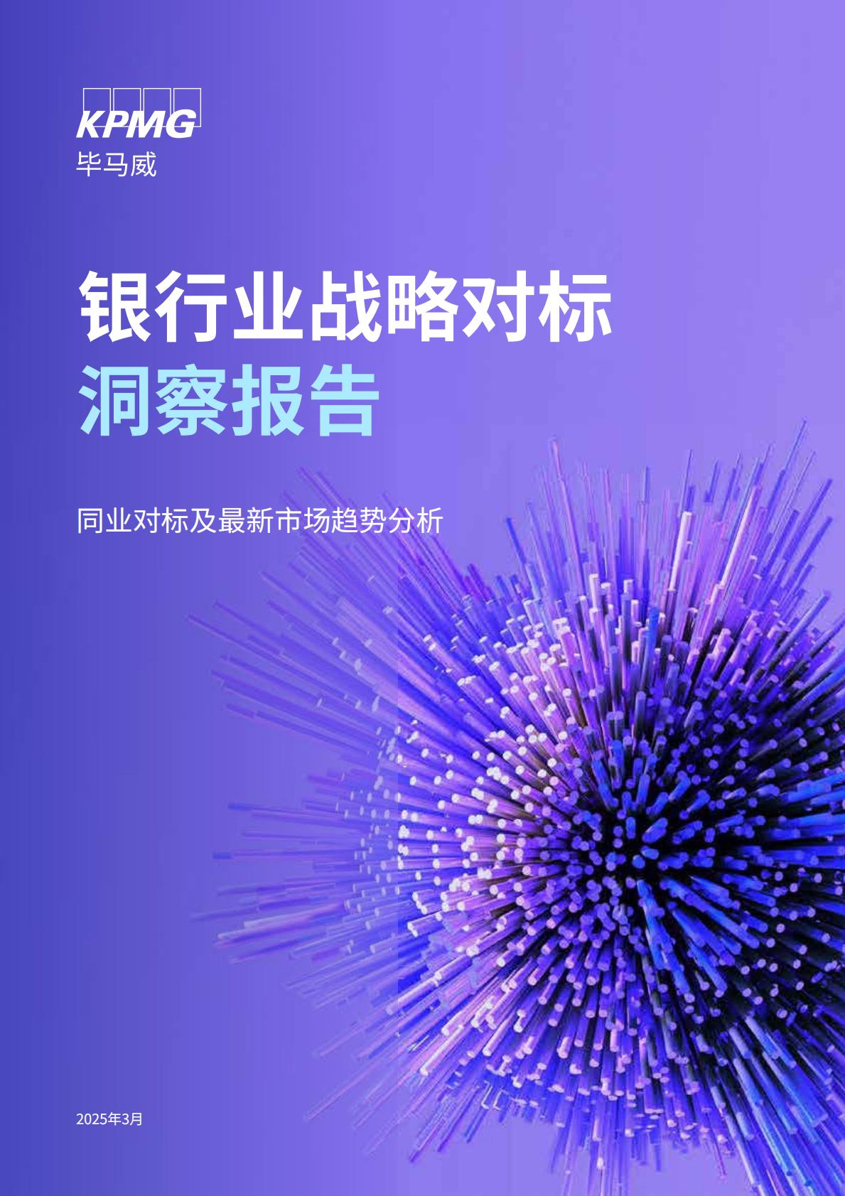 2025年银行业战略对标洞察报告——同业对标及最新市场趋势分析.pdf