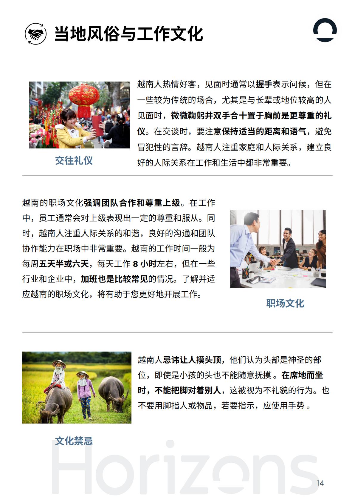 2025年越南出海白皮书-Horizons.pdf