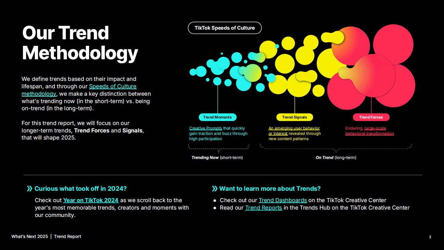 2025年TikTok的下一步全球流行趋势报告（英文版）.pdf