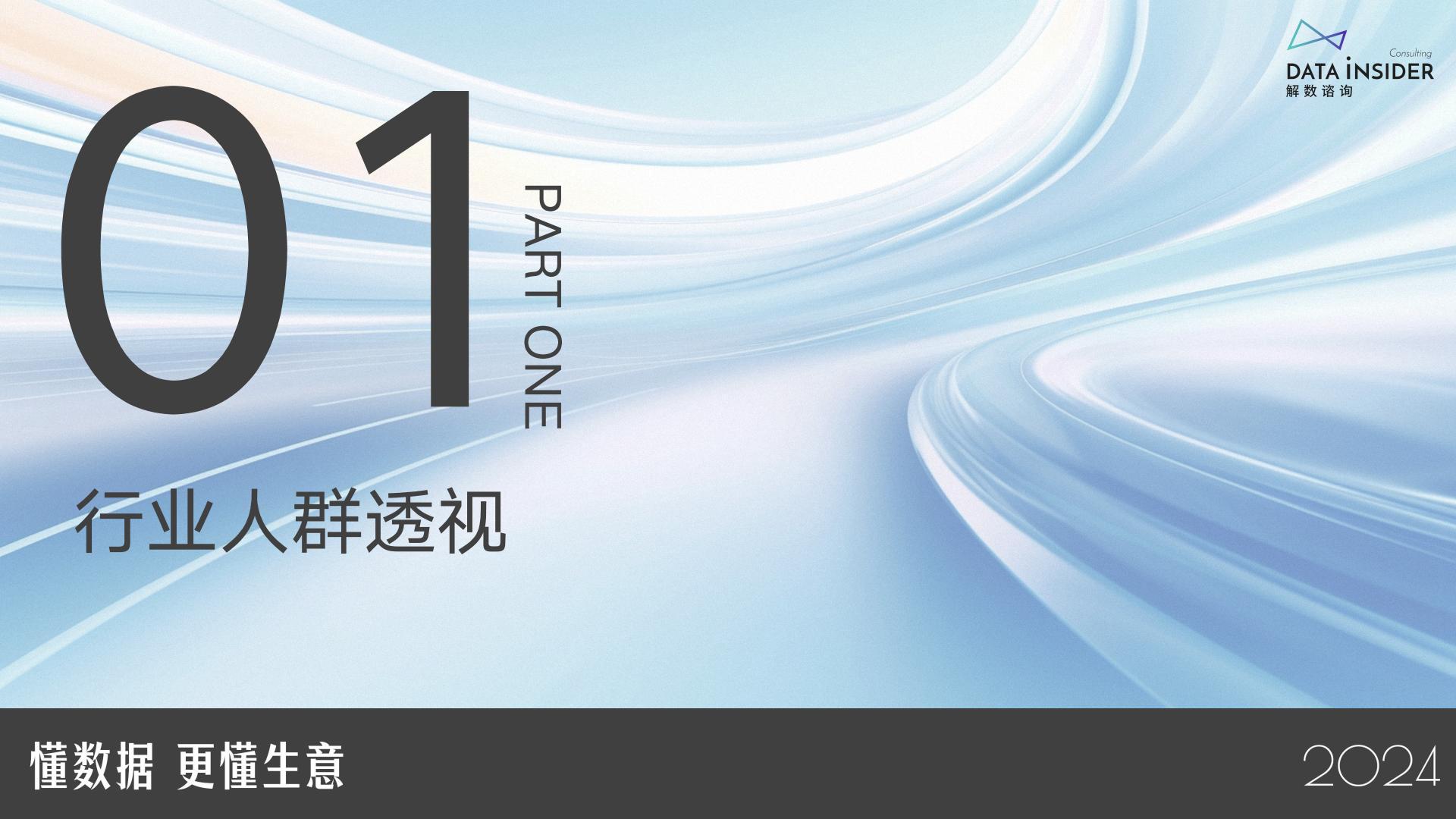 解数咨询：2025年电商银发人群深度研究报告.pdf