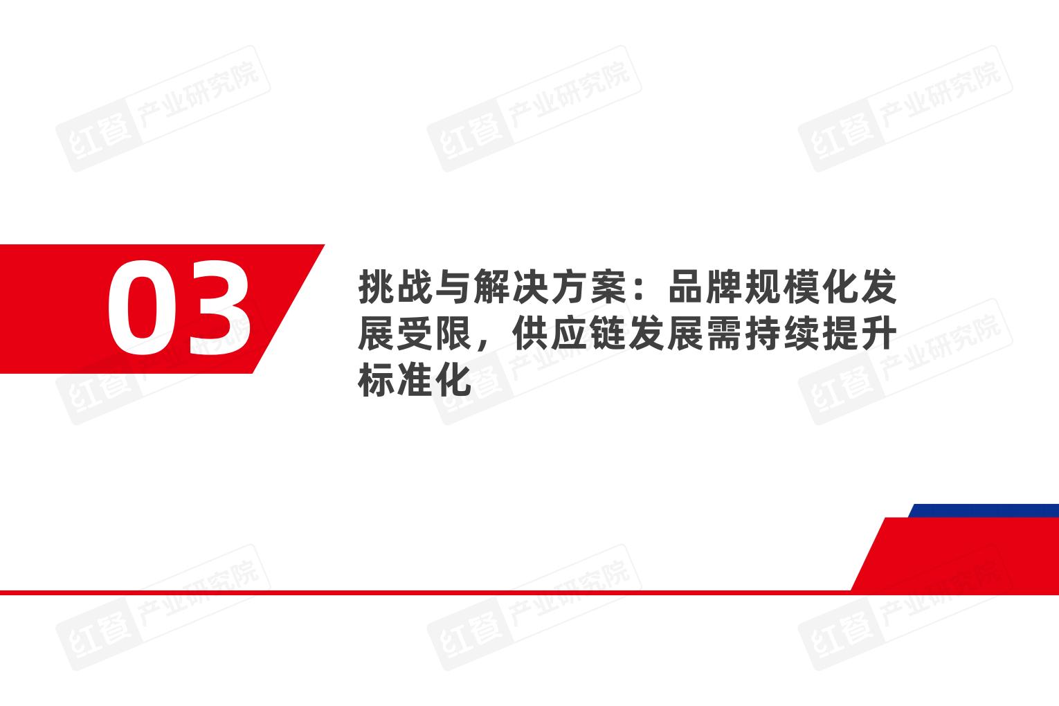 烤串品类发展报告2025.pdf