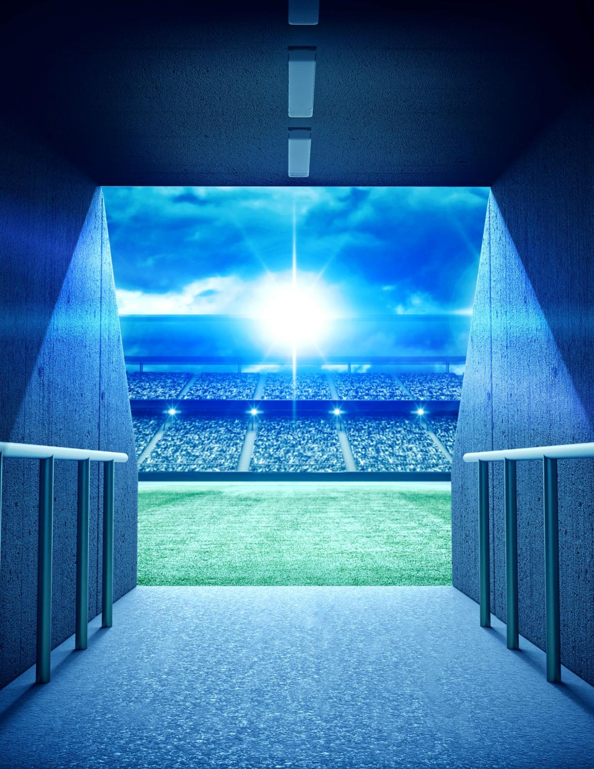 麦肯锡：2024年下一代“竞技场”报告-重塑全球经济的18个新兴行业领域.pdf