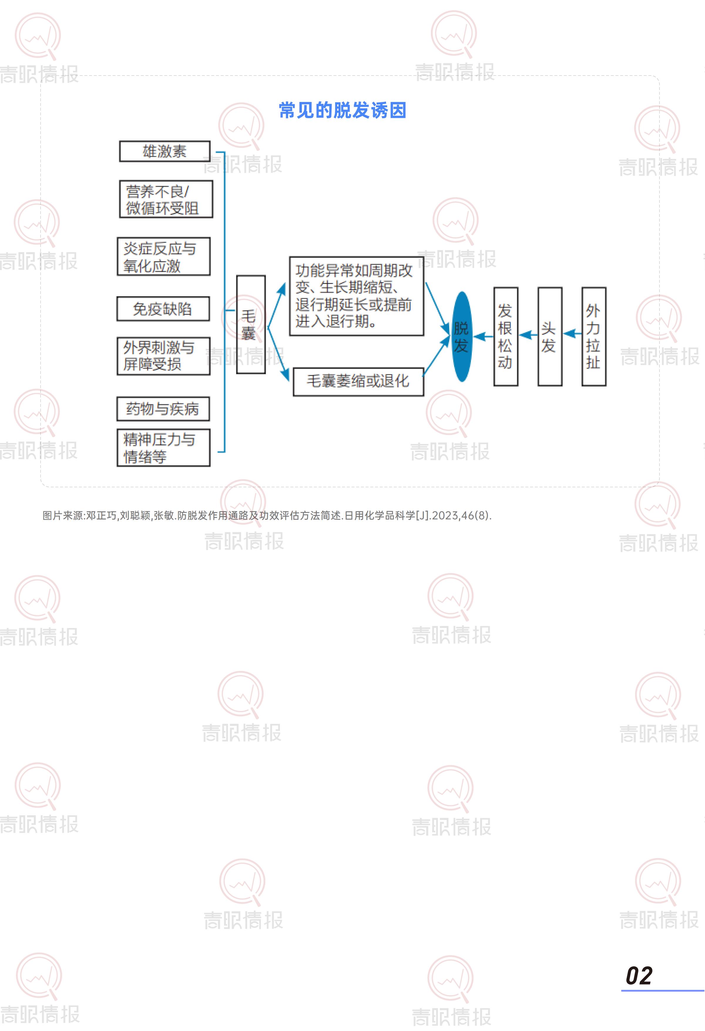 青眼情报：2025年防脱洗护行业消费者洞察报告.pdf