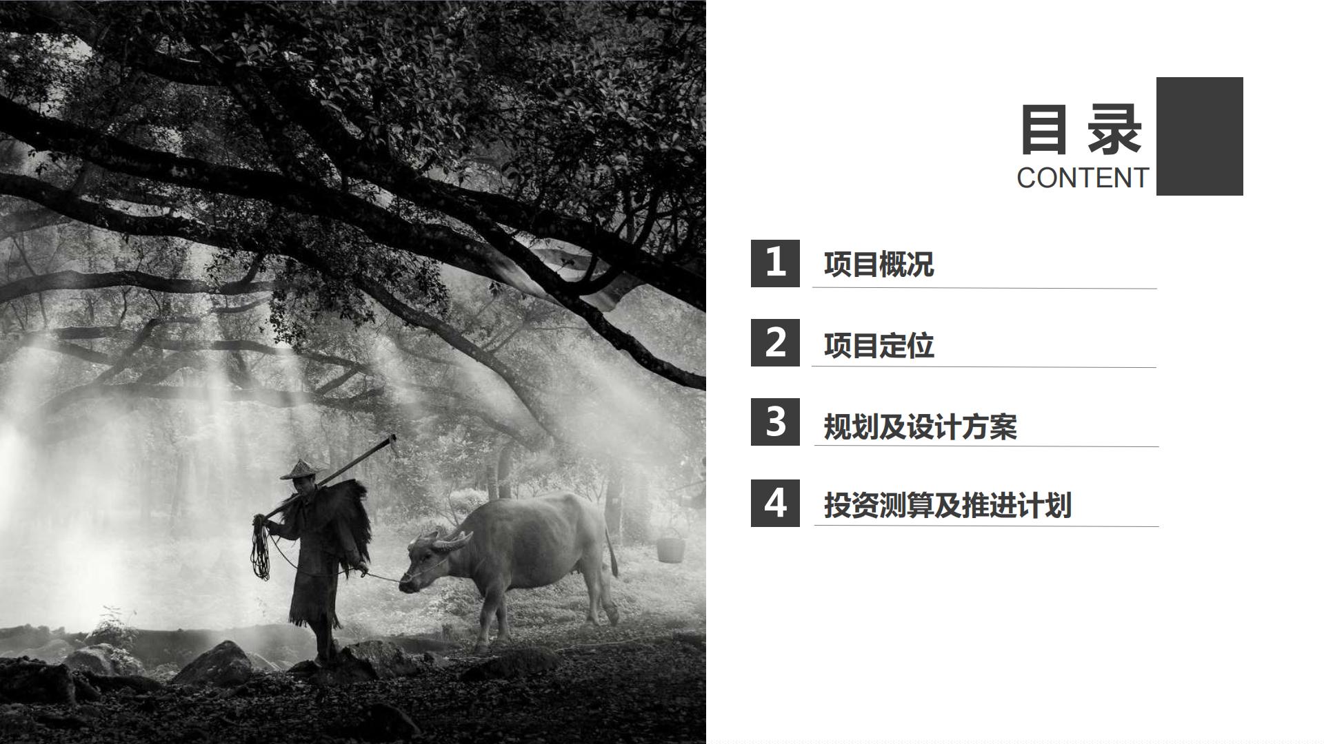 文旅小村乡村振兴村落打造改造规划案【文旅村落打造】【旅游】.pdf