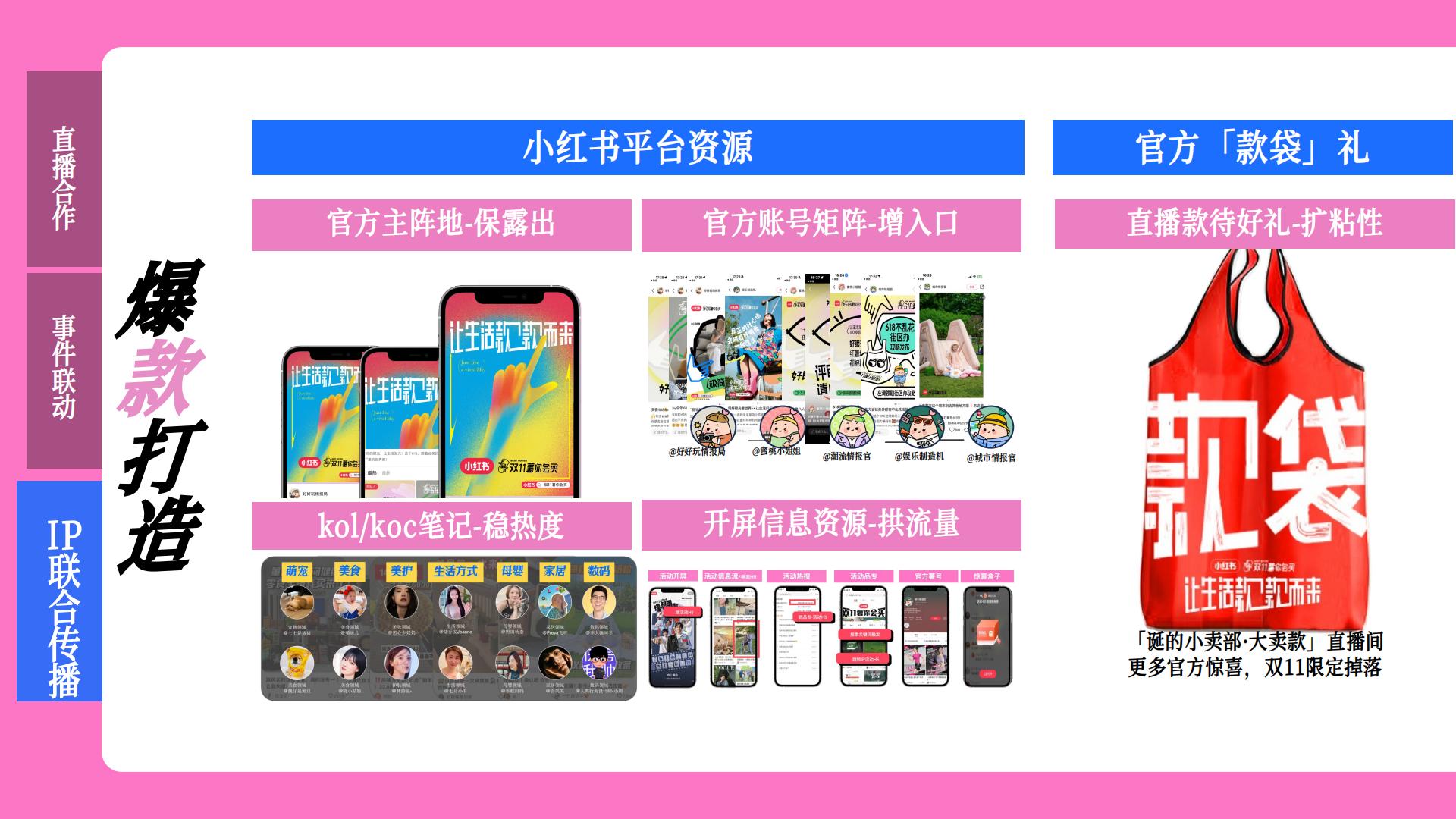 小红书x李诞【双11薯你会买】合作方案.pdf