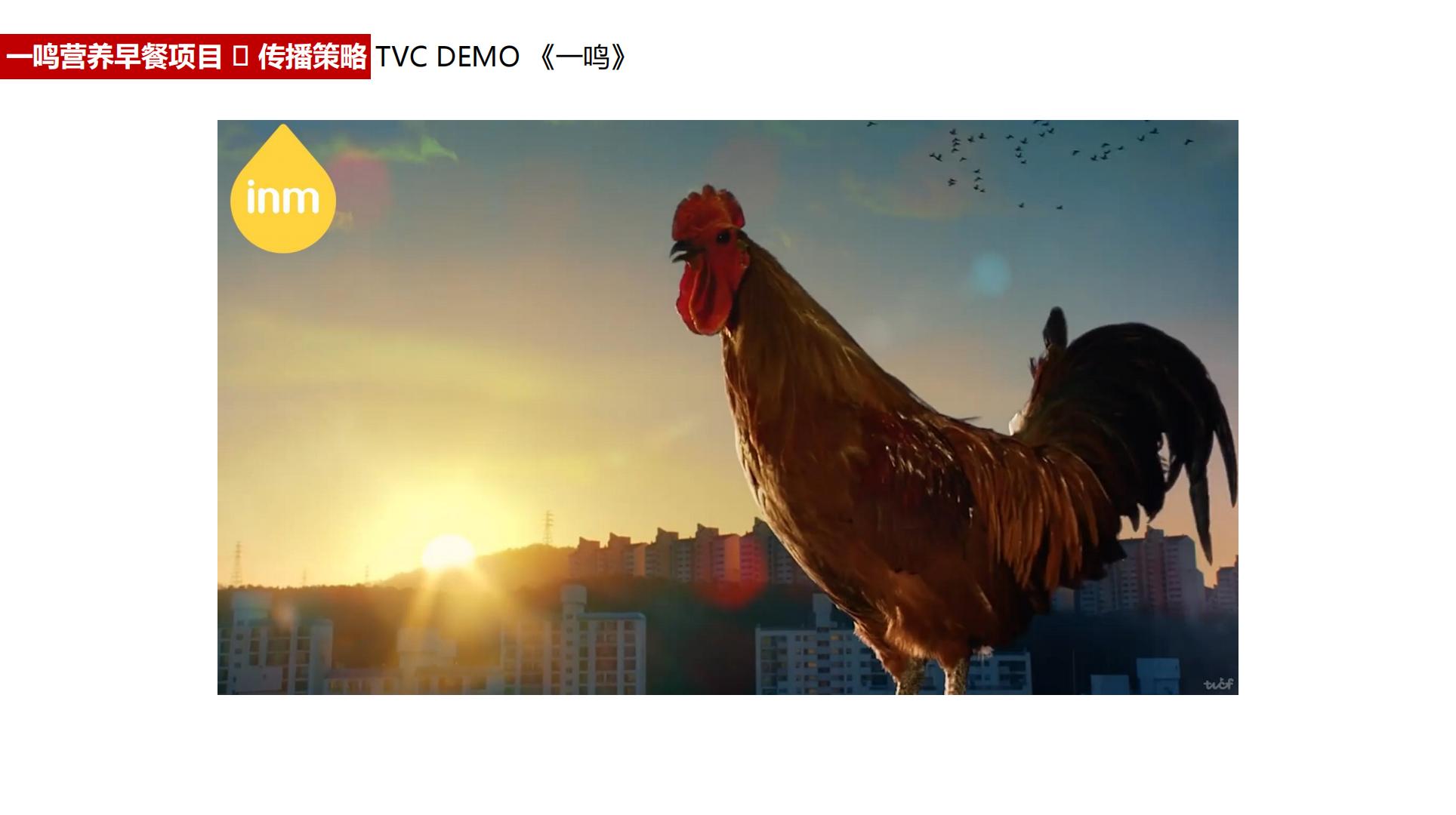 一鸣真鲜奶吧全年营销播方案.pdf