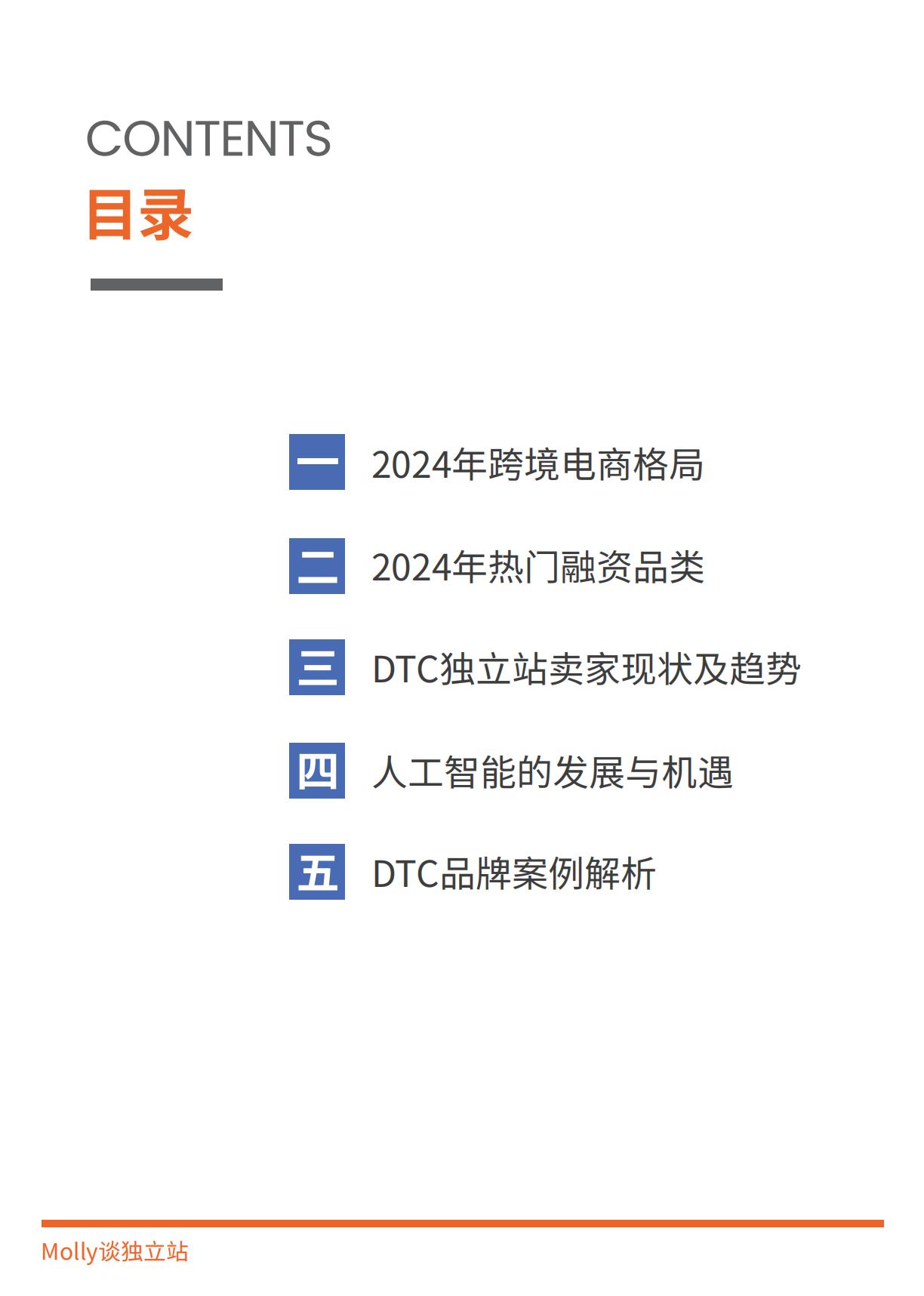 雨果跨境：2025DTC独立站调研报告.pdf
