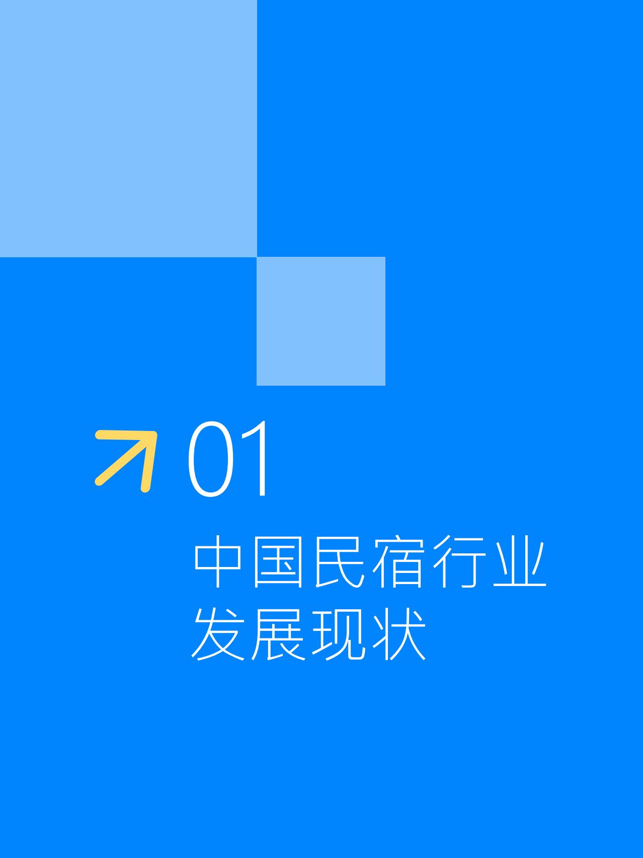 Fastdata极数：2025年中国民宿行业发展趋势报告.pdf