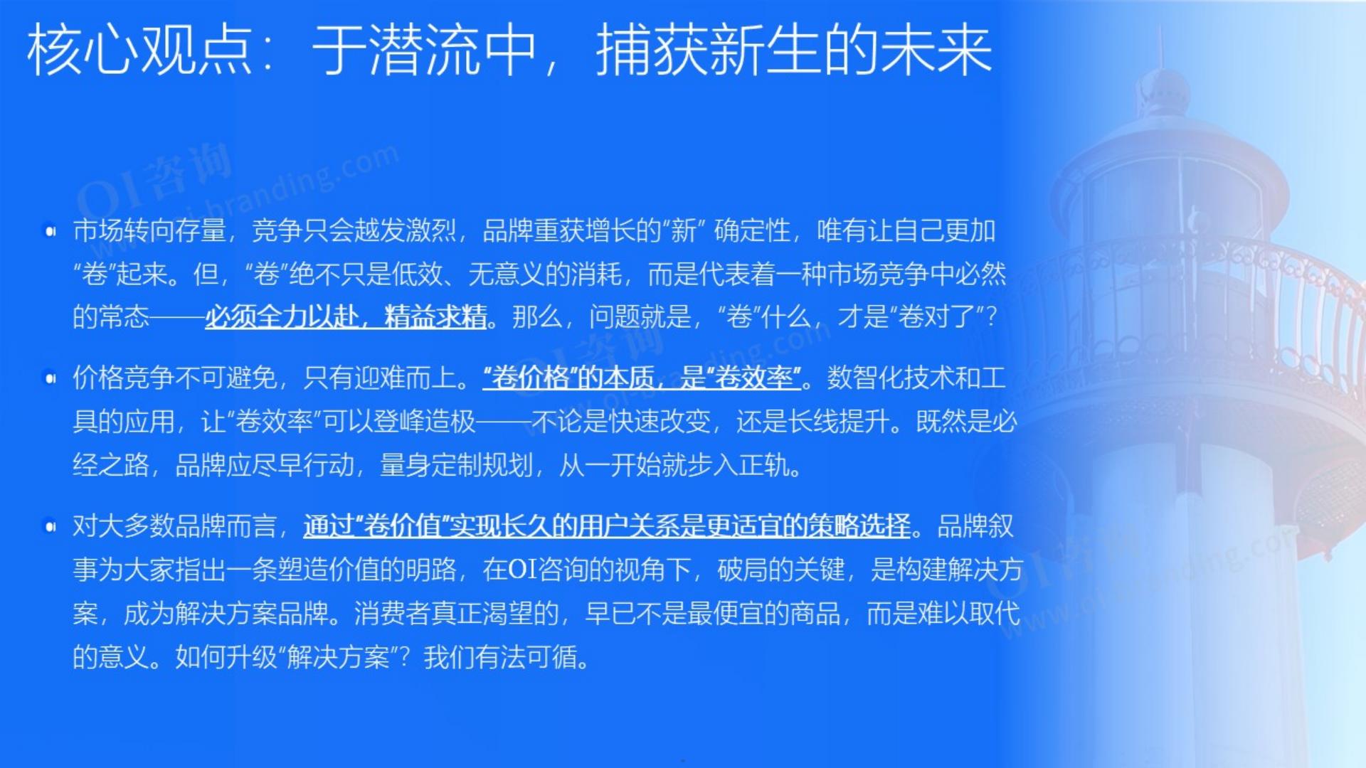 OI咨询：2025年度品牌战略观察报告.pdf