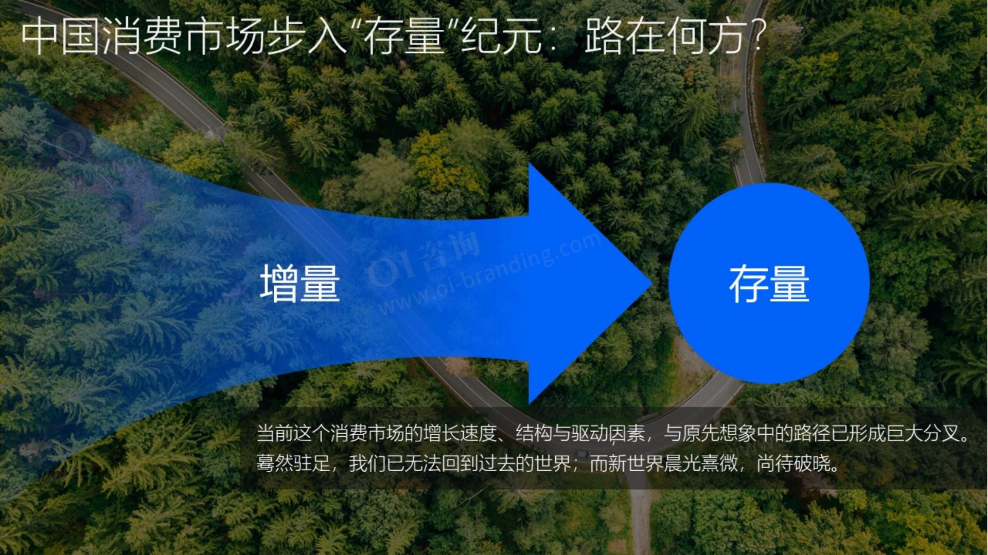 OI咨询：2025年度品牌战略观察报告.pdf