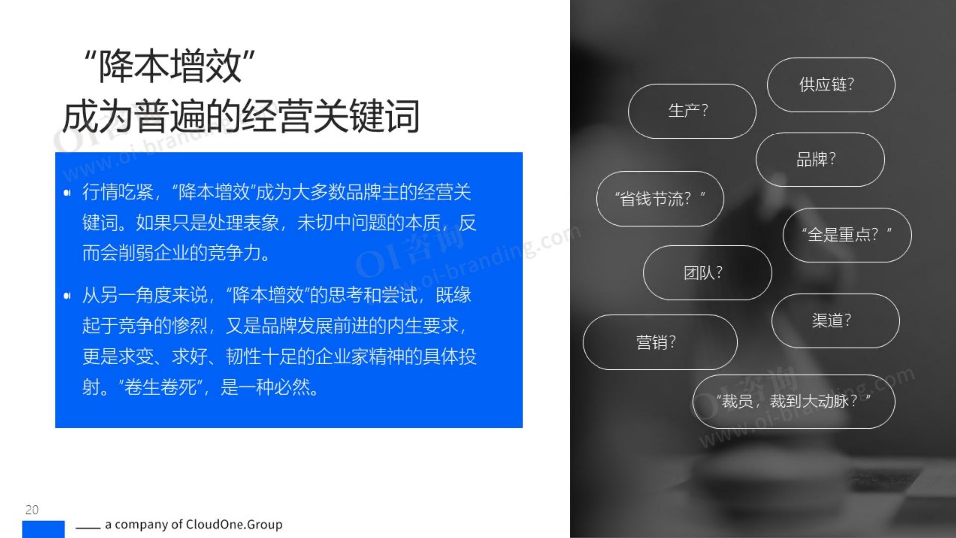 OI咨询：2025年度品牌战略观察报告.pdf