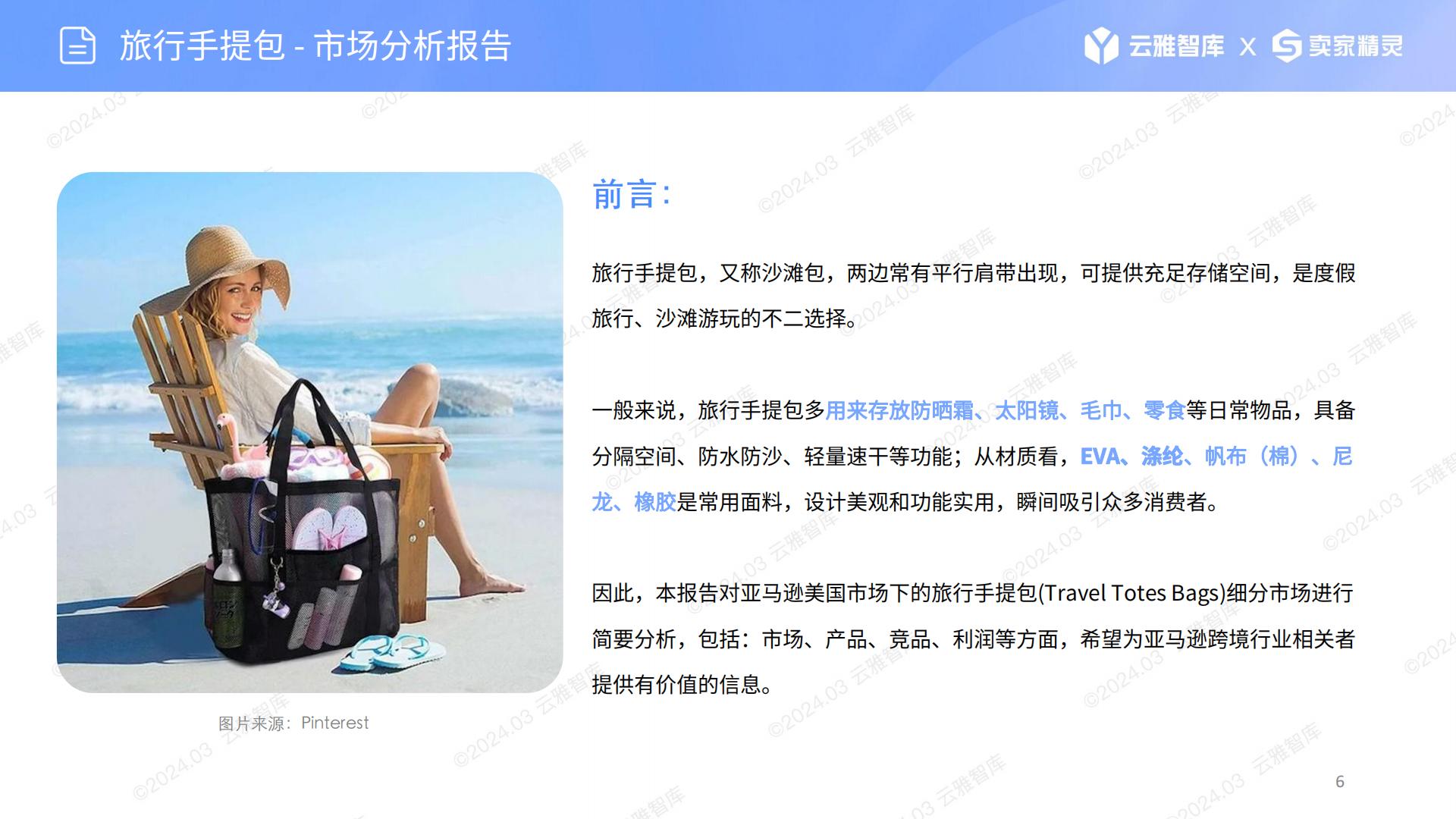 US服装配饰赛道分析：旅行手提包-云雅智库出品(第19期).202403.pdf