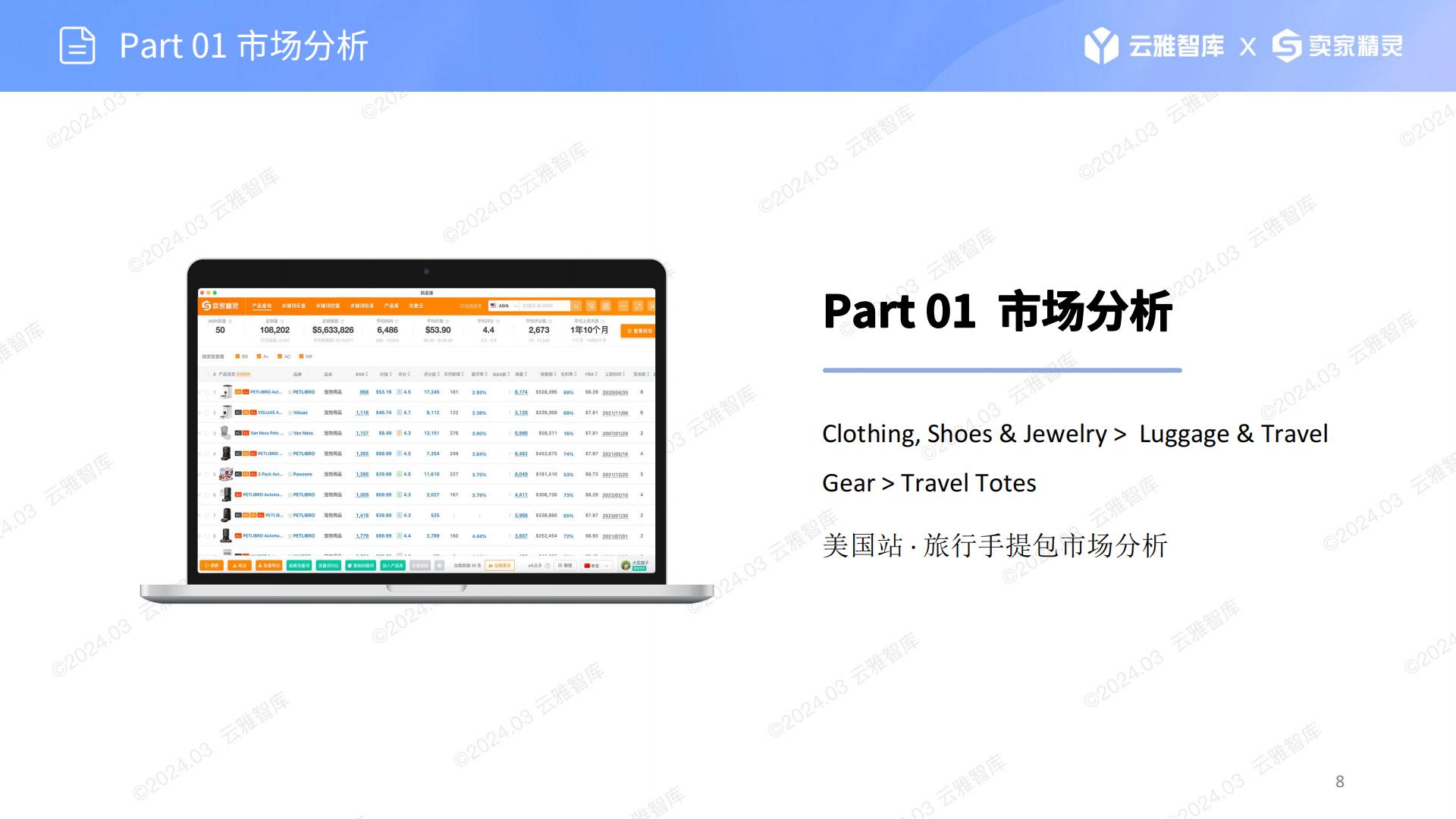 US服装配饰赛道分析：旅行手提包-云雅智库出品(第19期).202403.pdf