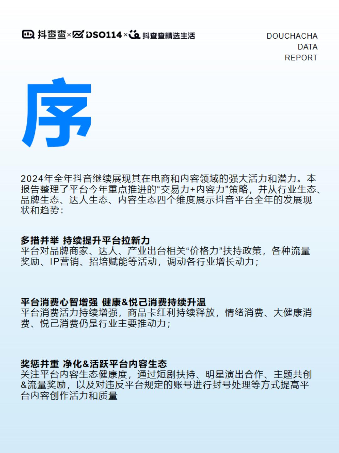 2024达人电商全年报-与辉同行.pdf