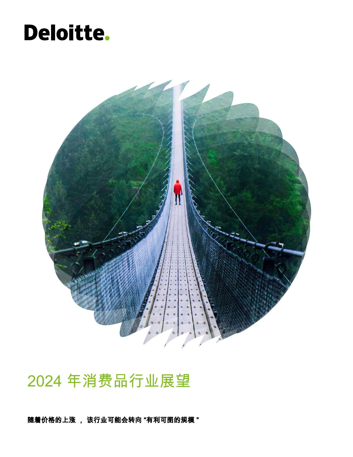 2024年消费品行业展望（英译中）.pdf