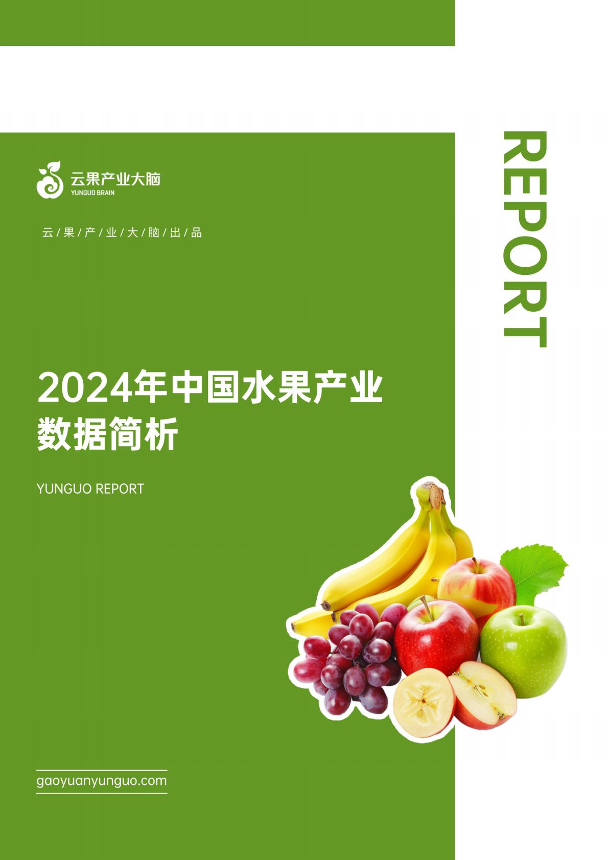 2024年中国水果产业数据简析报告-云果.pdf