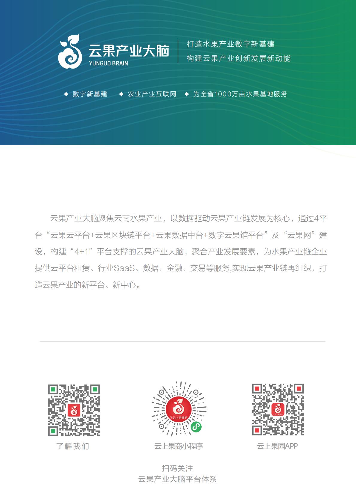 2024年中国水果产业数据简析报告-云果.pdf