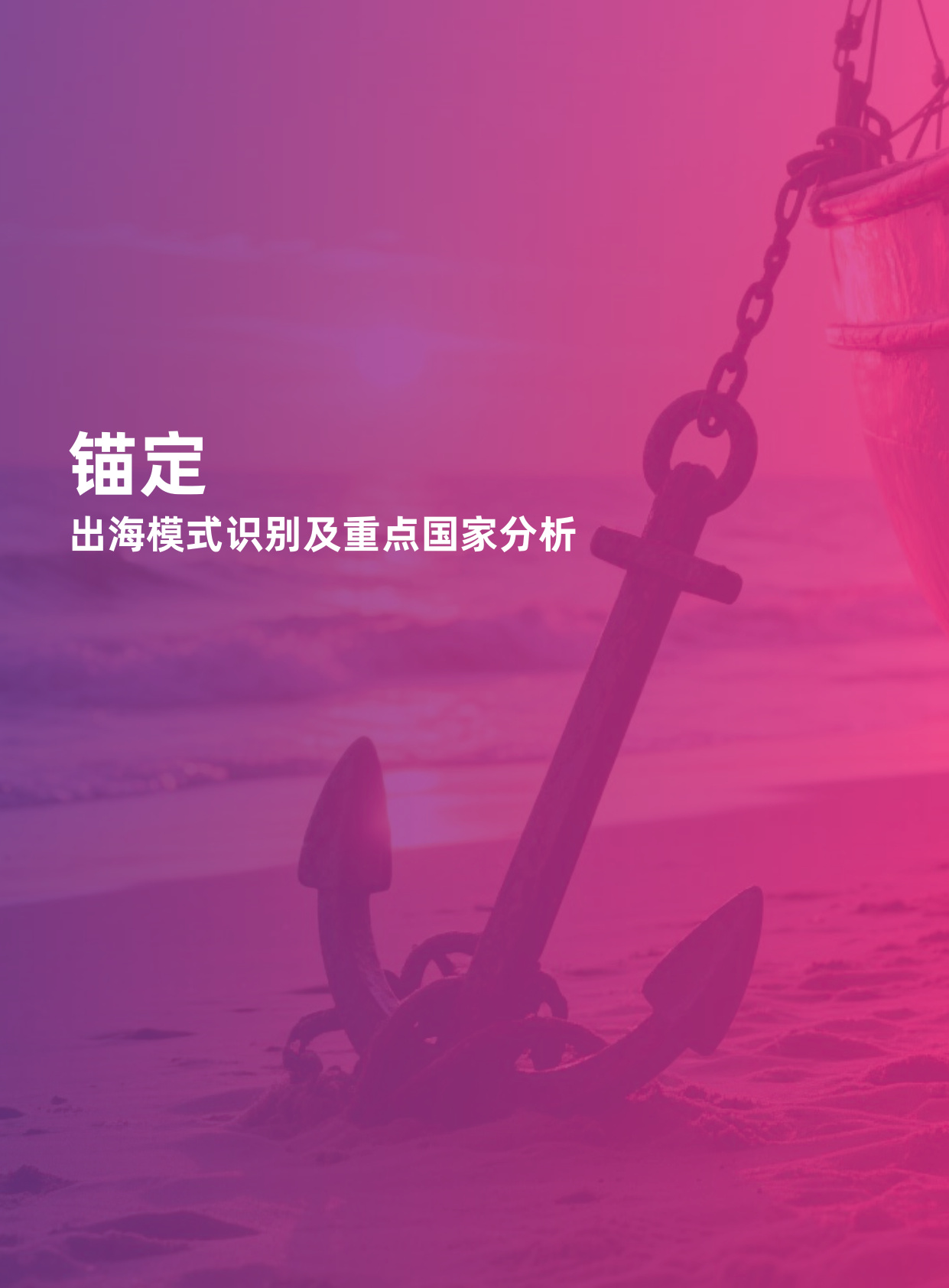 2025中国宠物行业出海蓝皮书-apa亚宠会 x 欧睿国际.pdf