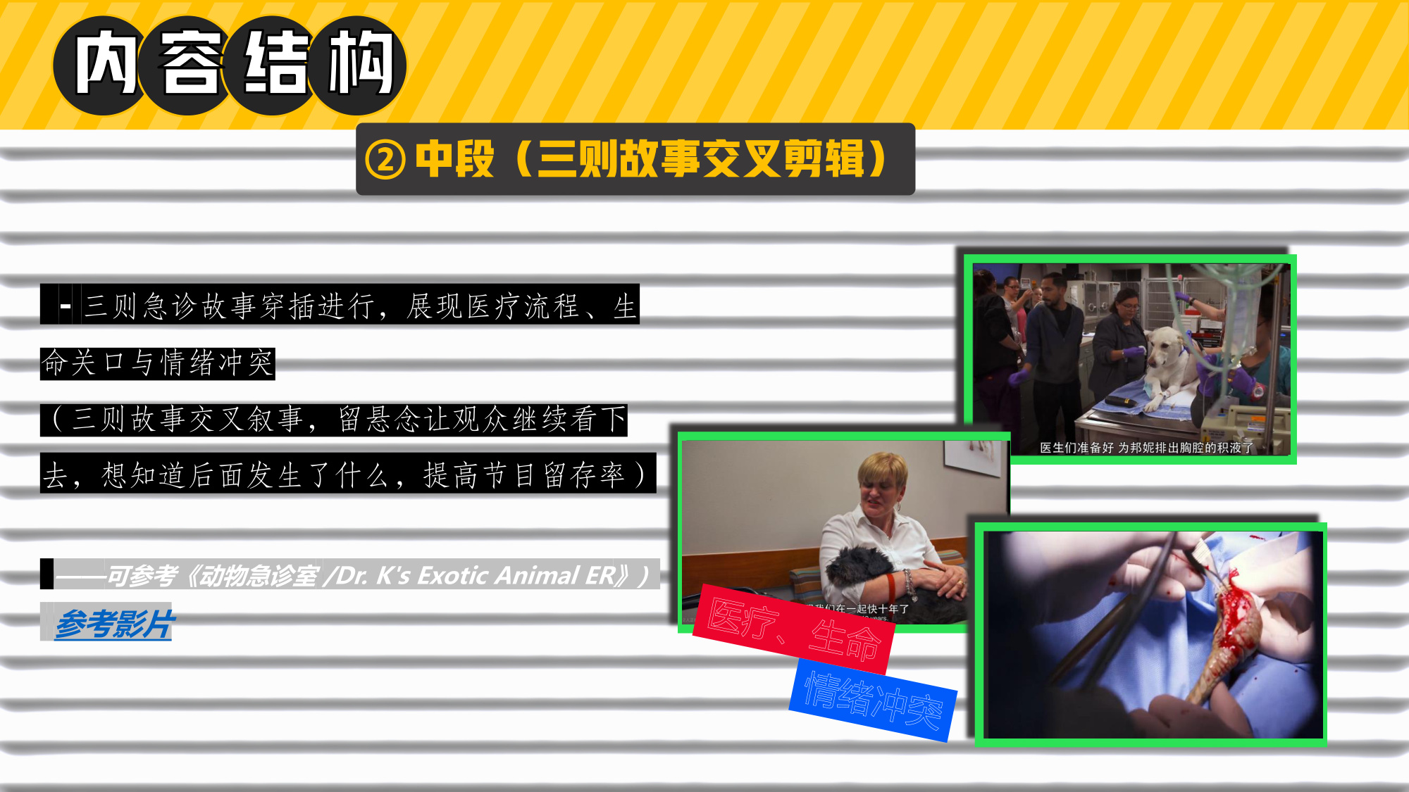 哔哩哔哩纪录片《深夜宠物急诊室》招商方案.pdf