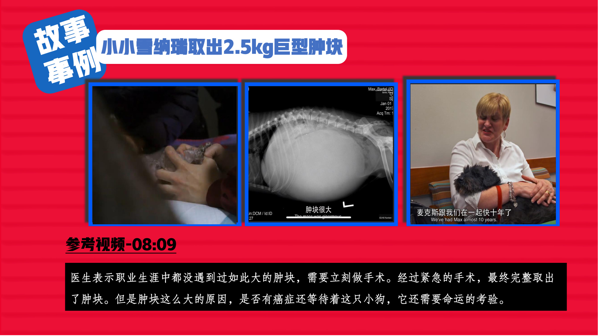 哔哩哔哩纪录片《深夜宠物急诊室》招商方案.pdf