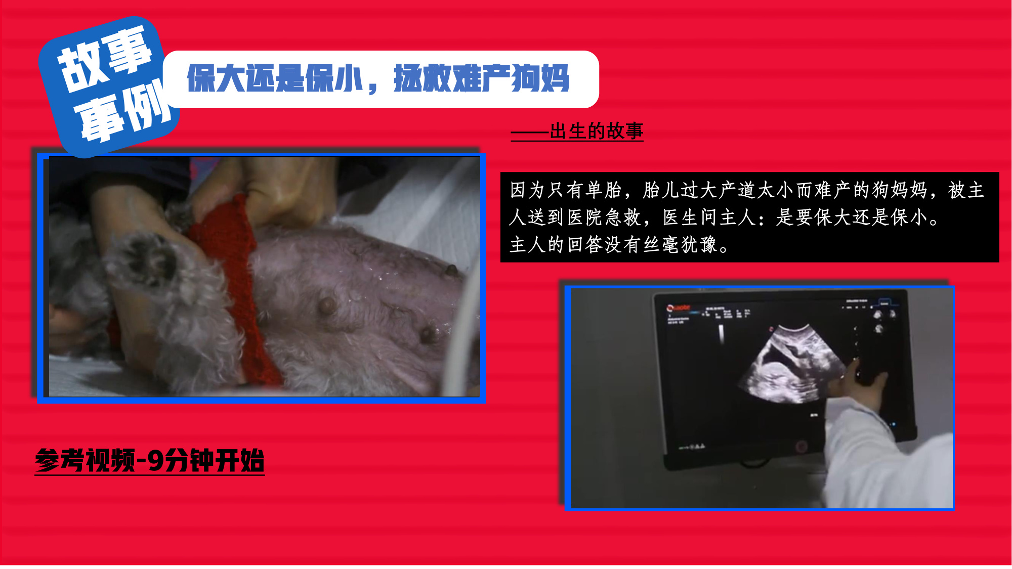 哔哩哔哩纪录片《深夜宠物急诊室》招商方案.pdf