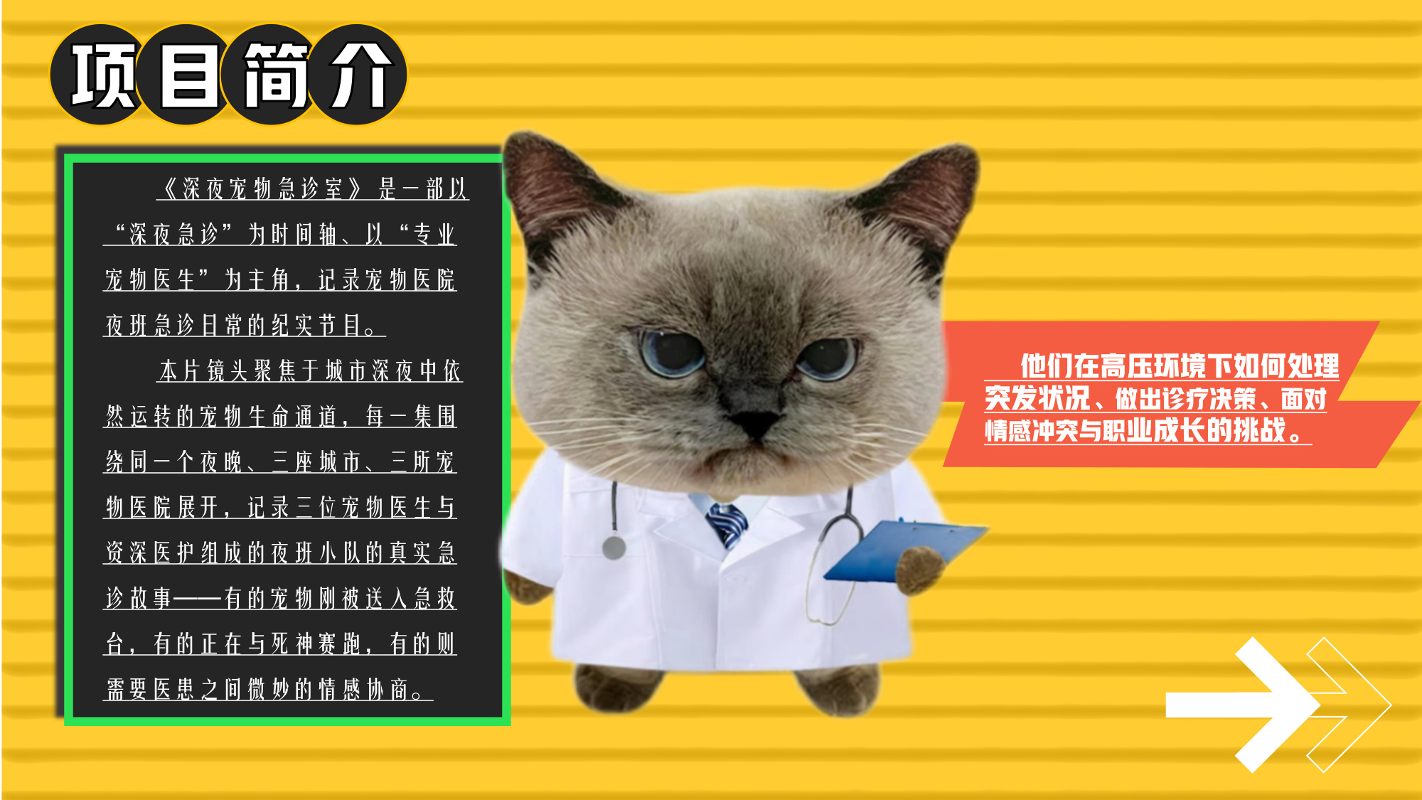 哔哩哔哩纪录片《深夜宠物急诊室》招商方案.pdf