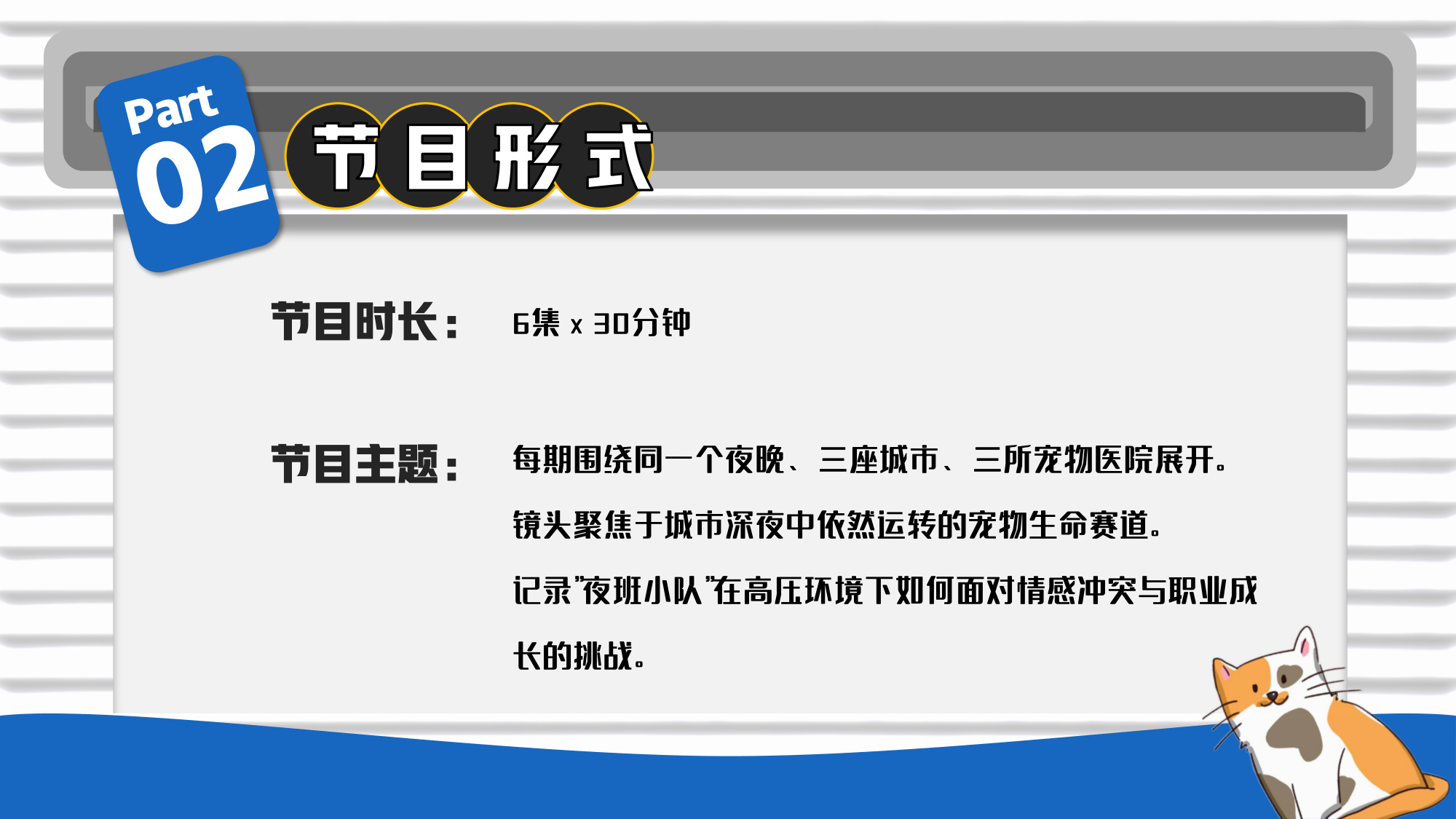 哔哩哔哩纪录片《深夜宠物急诊室》招商方案.pdf