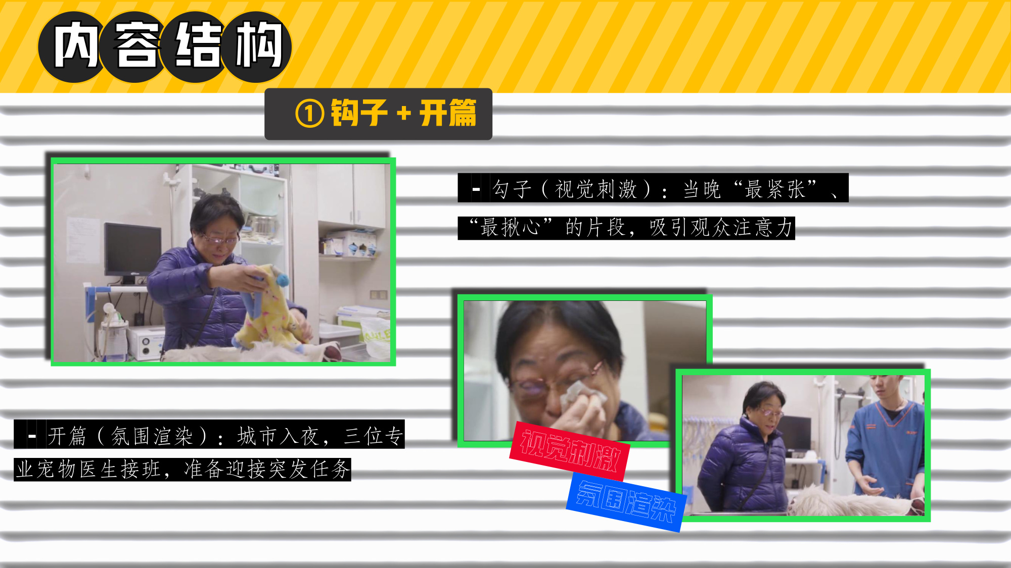 哔哩哔哩纪录片《深夜宠物急诊室》招商方案.pdf