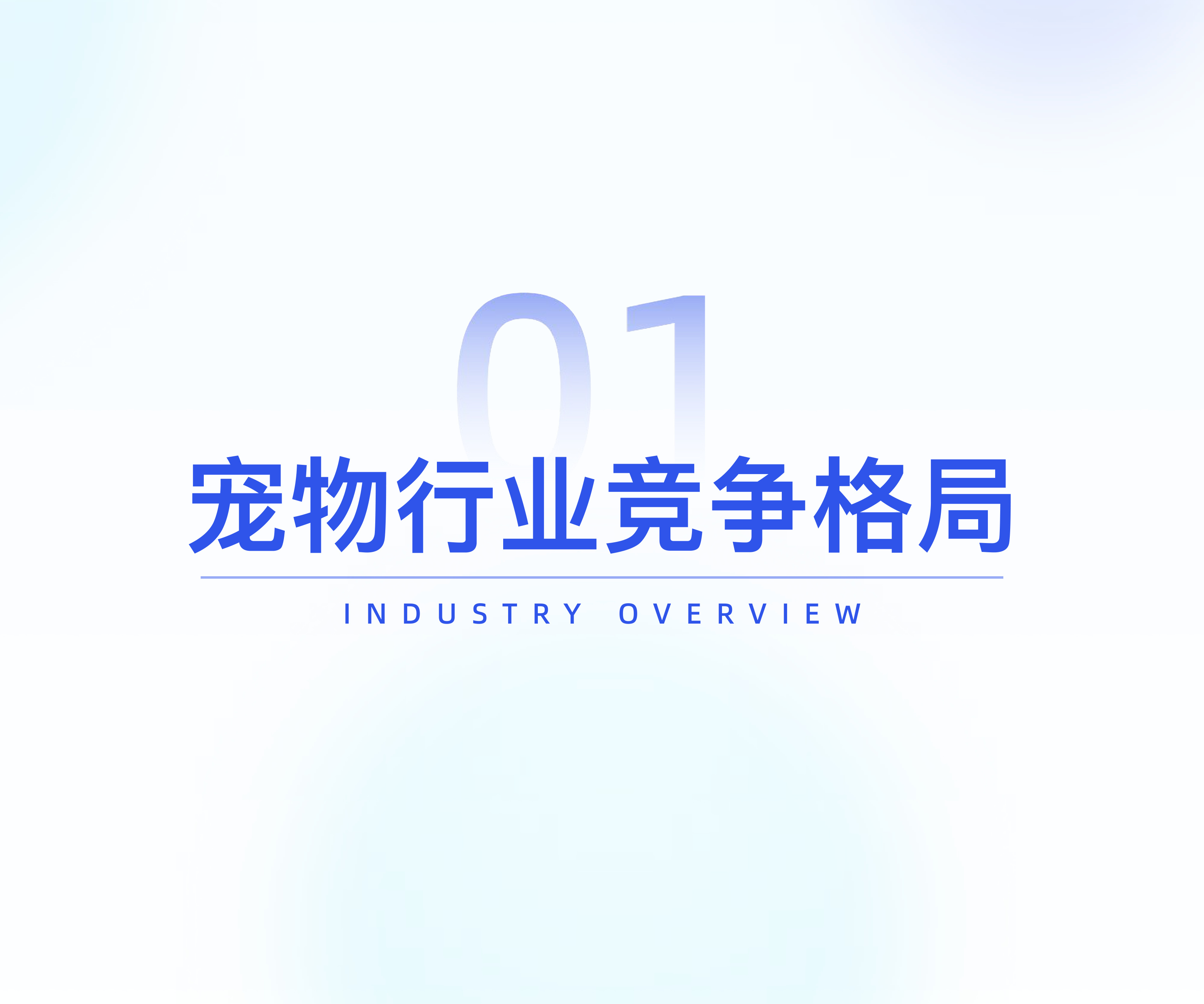 宠物品牌竞争格局与发展趋势分析-炼丹炉.pdf