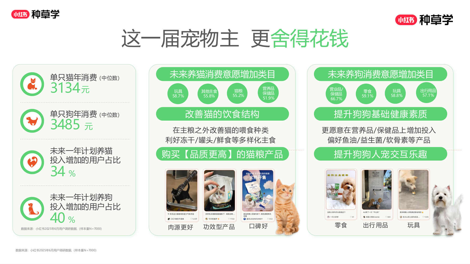 双11小红书「宠物」直播材料.pdf